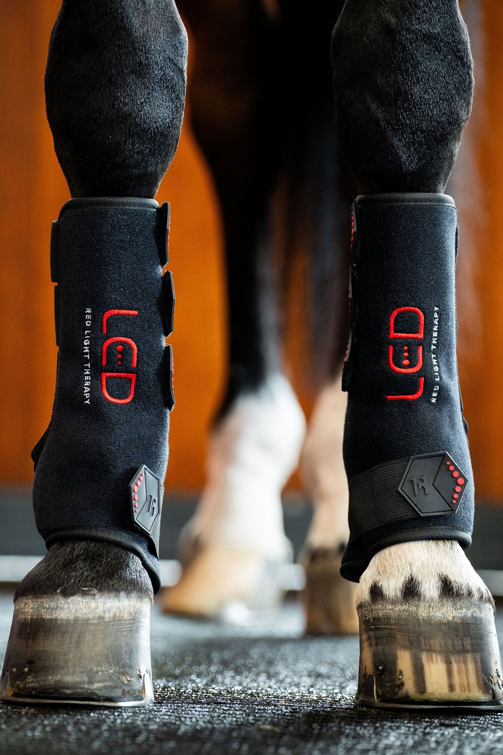 Horseware protector terapéutico LED de luz roja (1 ud.) Leg Protection & Hoof Protection for Horses