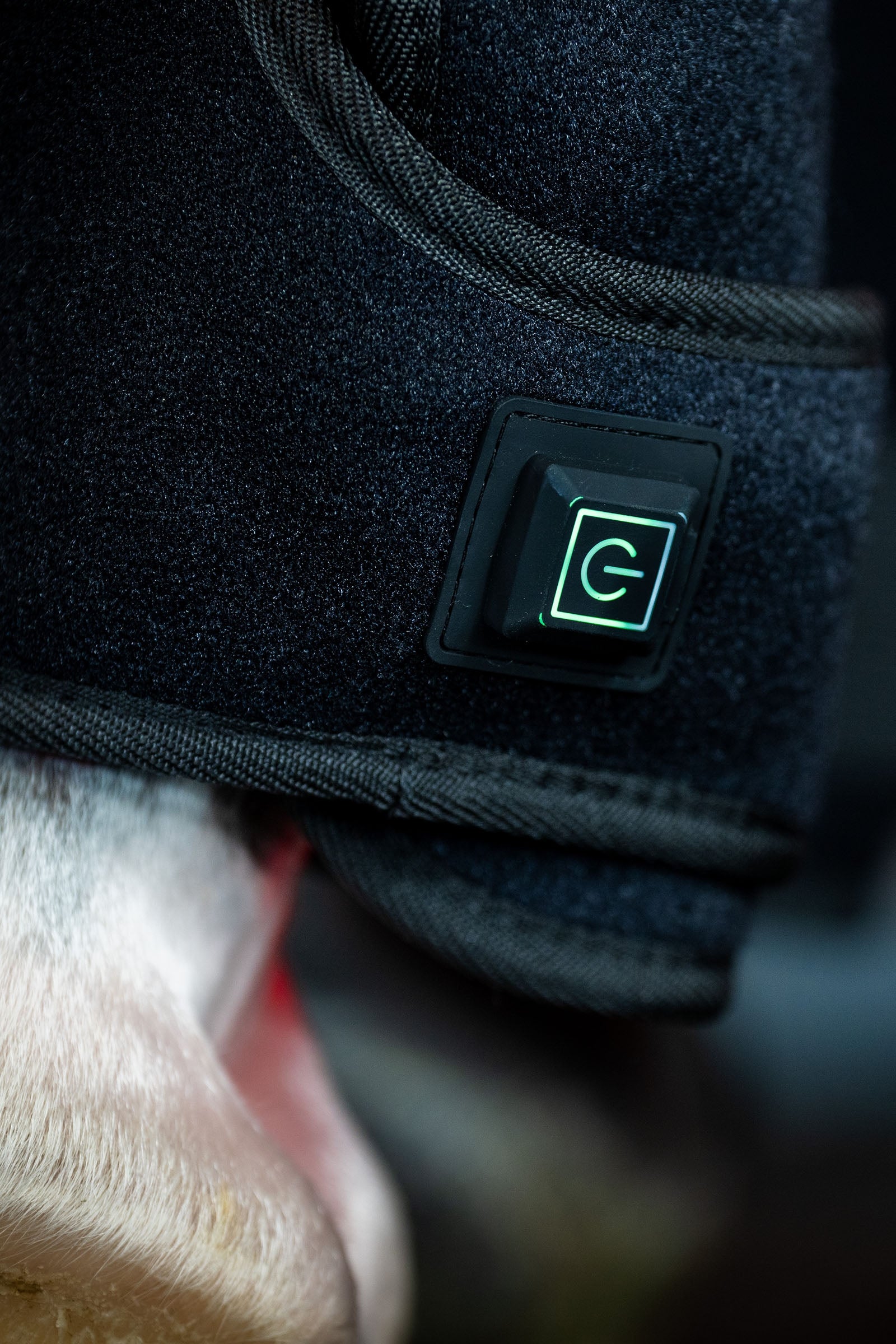 Horseware LED Red Light Therapy Leg Wrap (1 pc.) Leg Protection & Hoof Protection for Horses