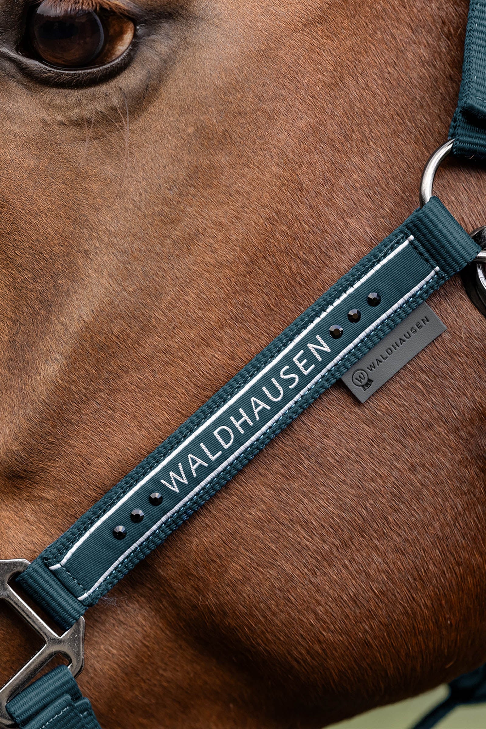 Waldhausen Elegant Halter Halters & Leads