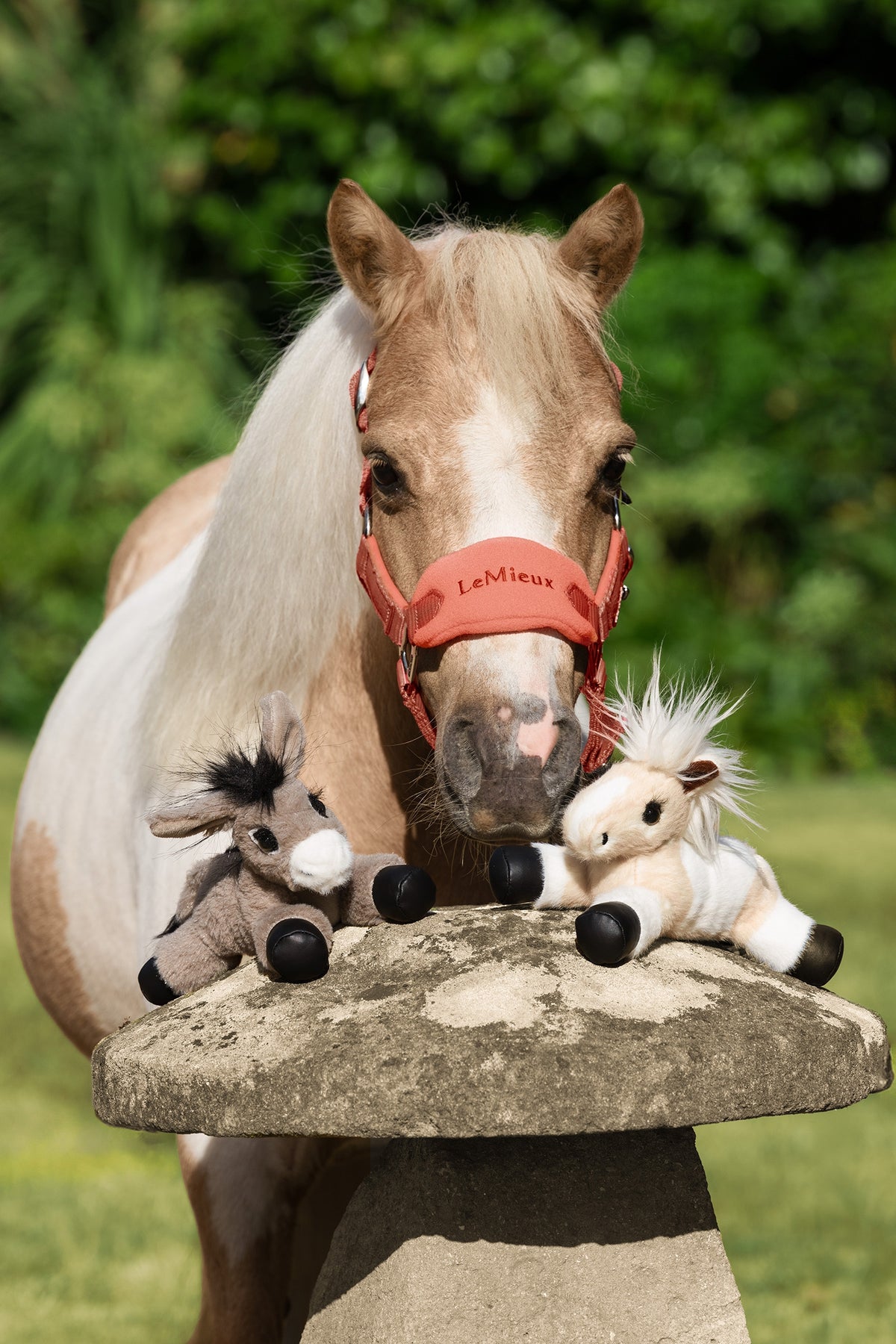 LeMieux Tiny Beanie Pony Gifts & Toys