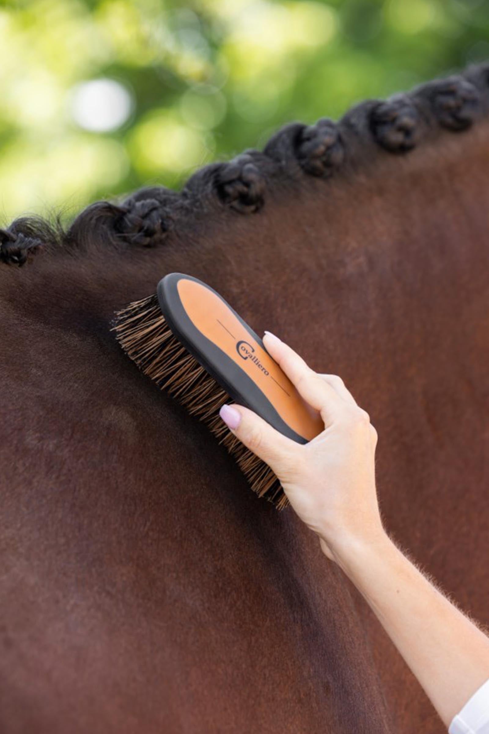 Covalliero 2K Brush, Size 2 Horse Grooming Tools