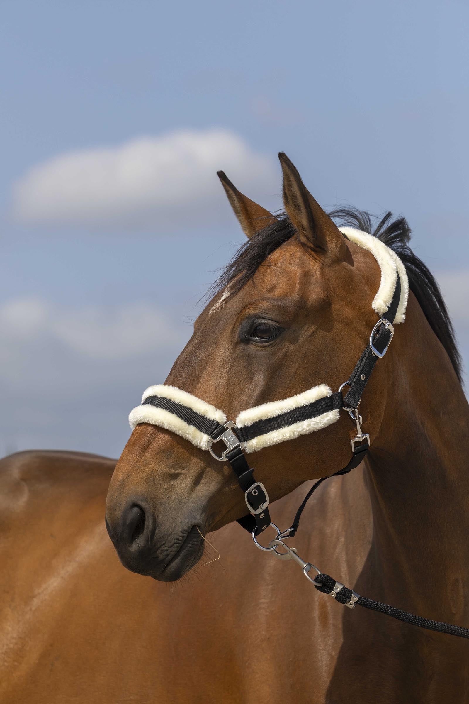 EQUITHÈME Nylon Mouton Halter Halters & Leads