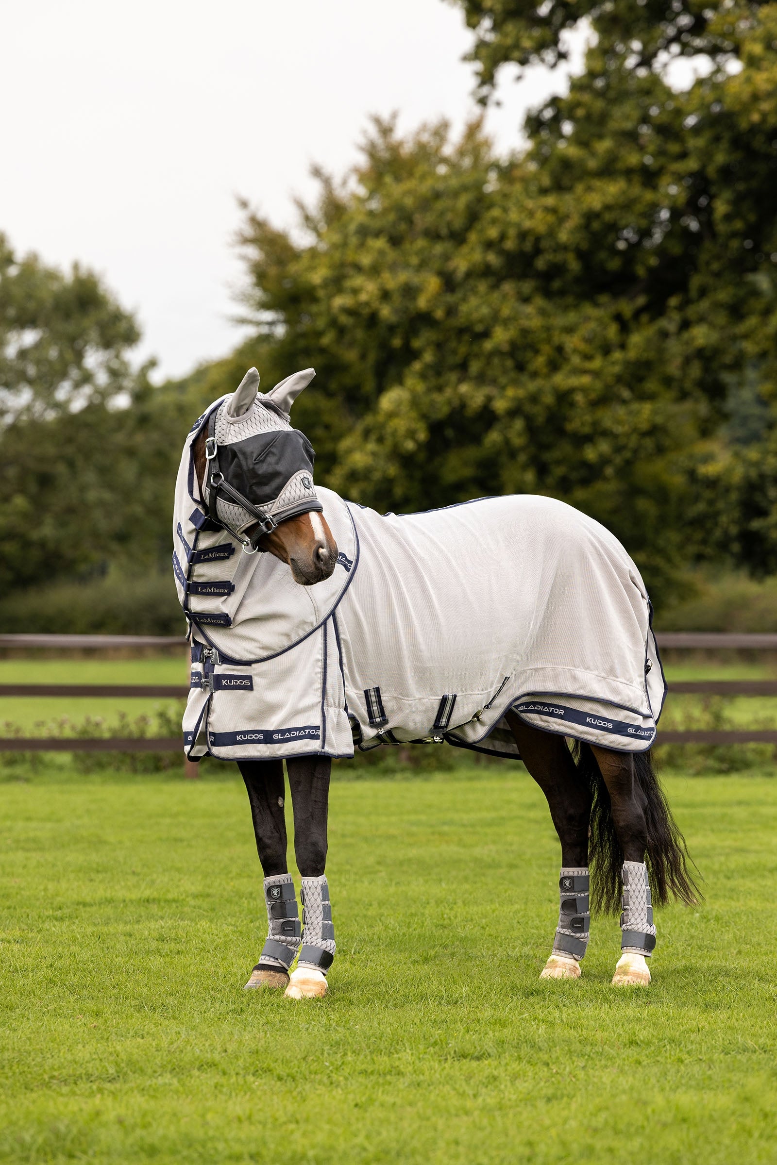 LeMieux Kudos Gladiator manta antimoscas Mantas Caballo