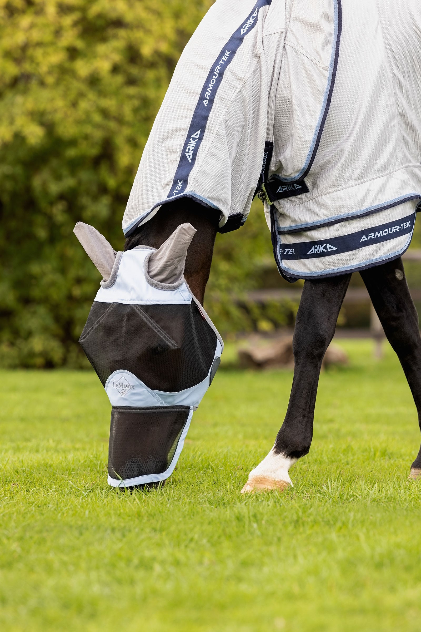 LeMieux Kudos Gladiator Fly Rug Horse Rugs