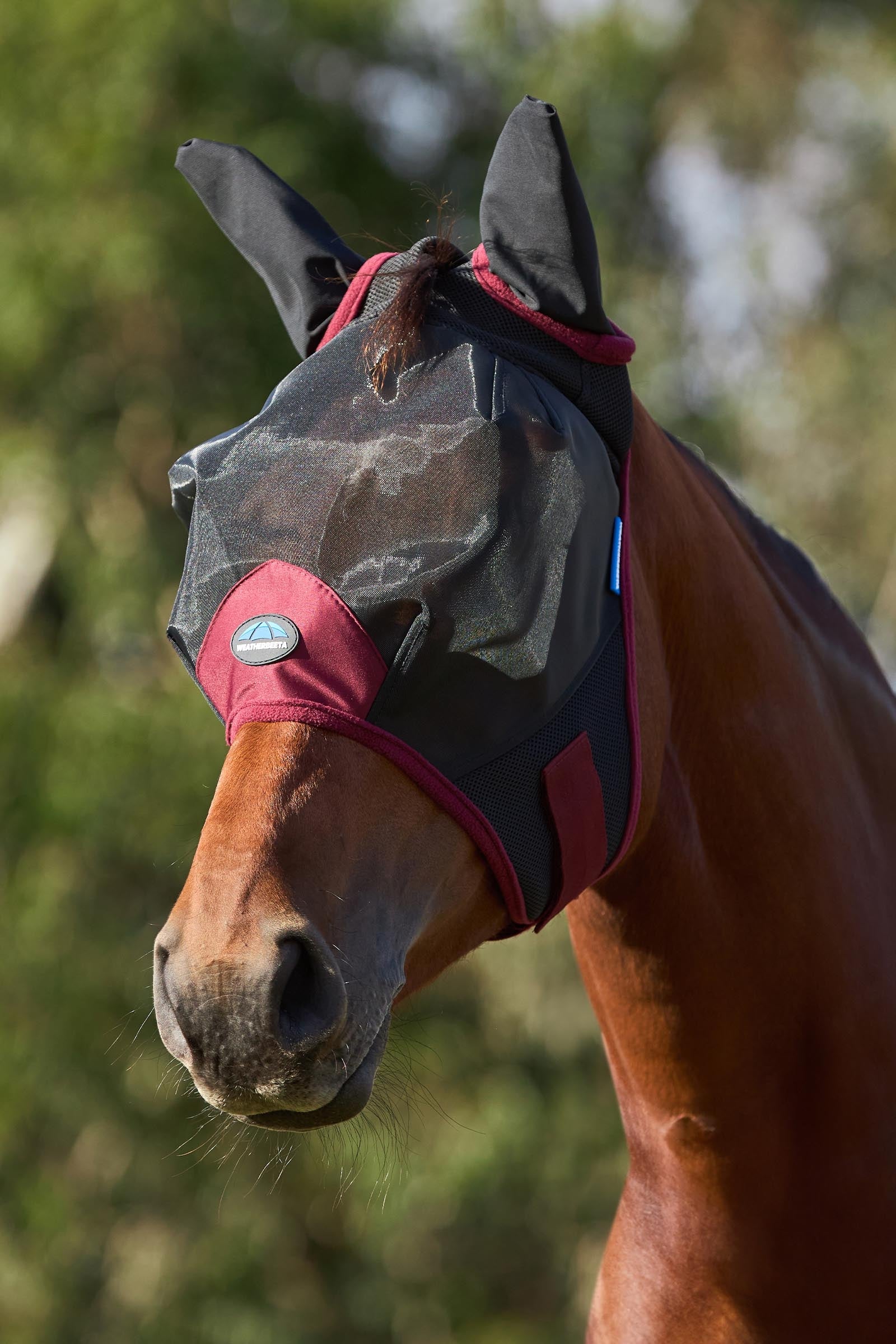 Weatherbeeta Comfitec Fine Mesh Fly Mask With Ears Antifly Protection for Horses
