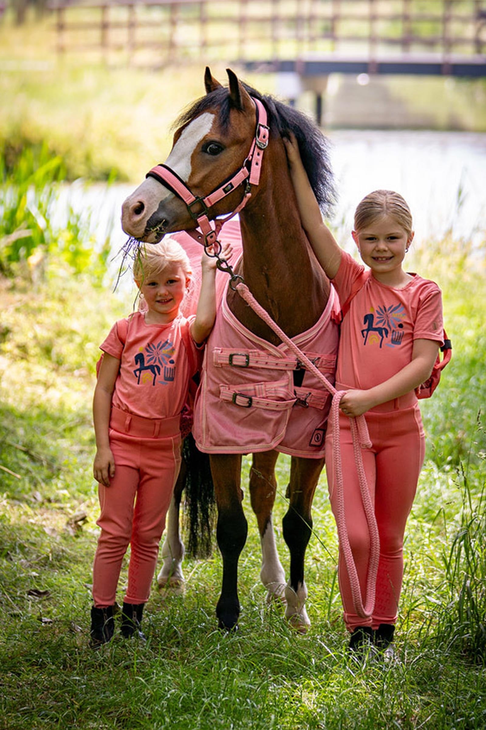 BR Pony / Mini Horse Halter With Lead Halters & Leads