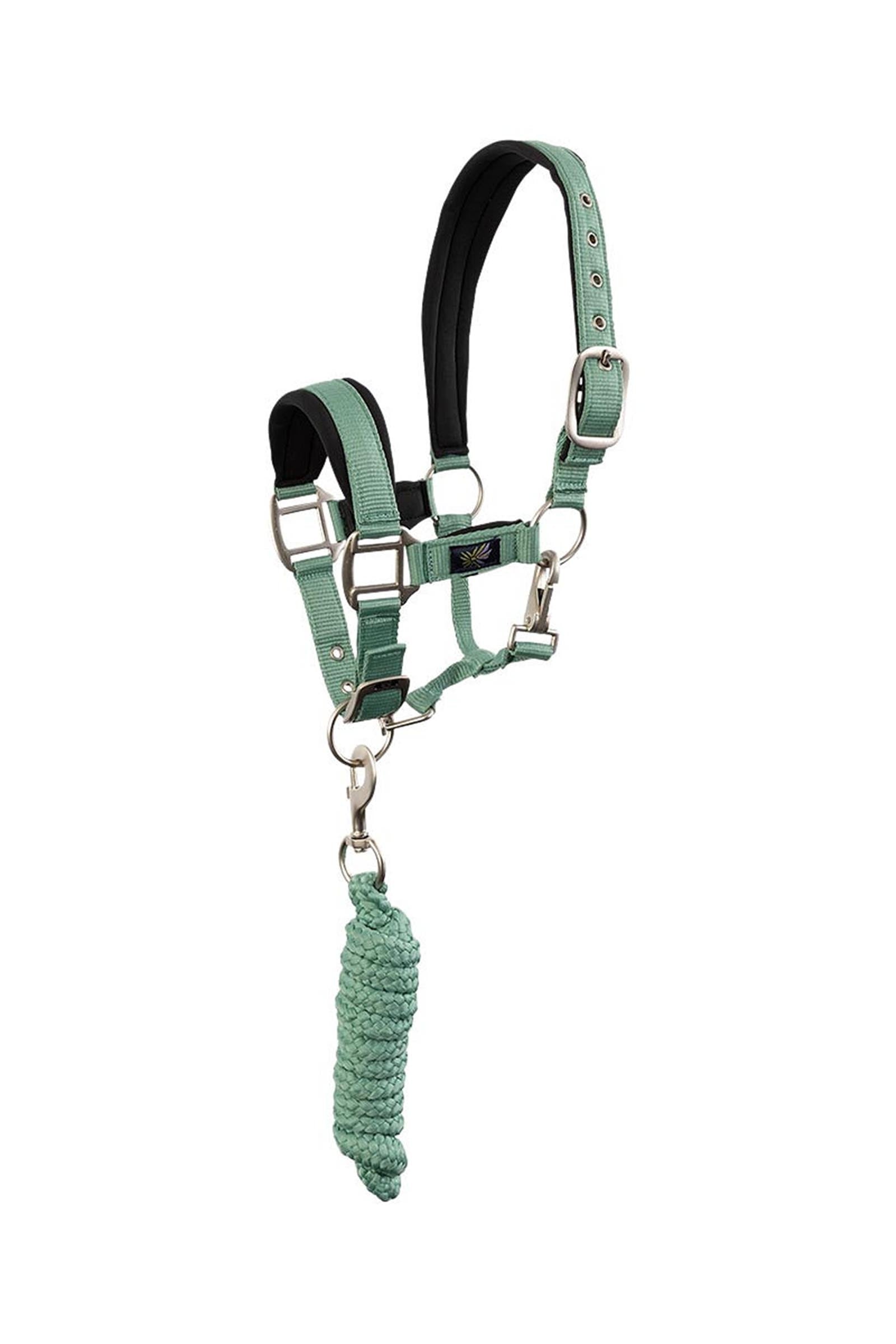 BR cabezada para pony / mini horse con ramal Cabezadas de cuadra & Ramales
