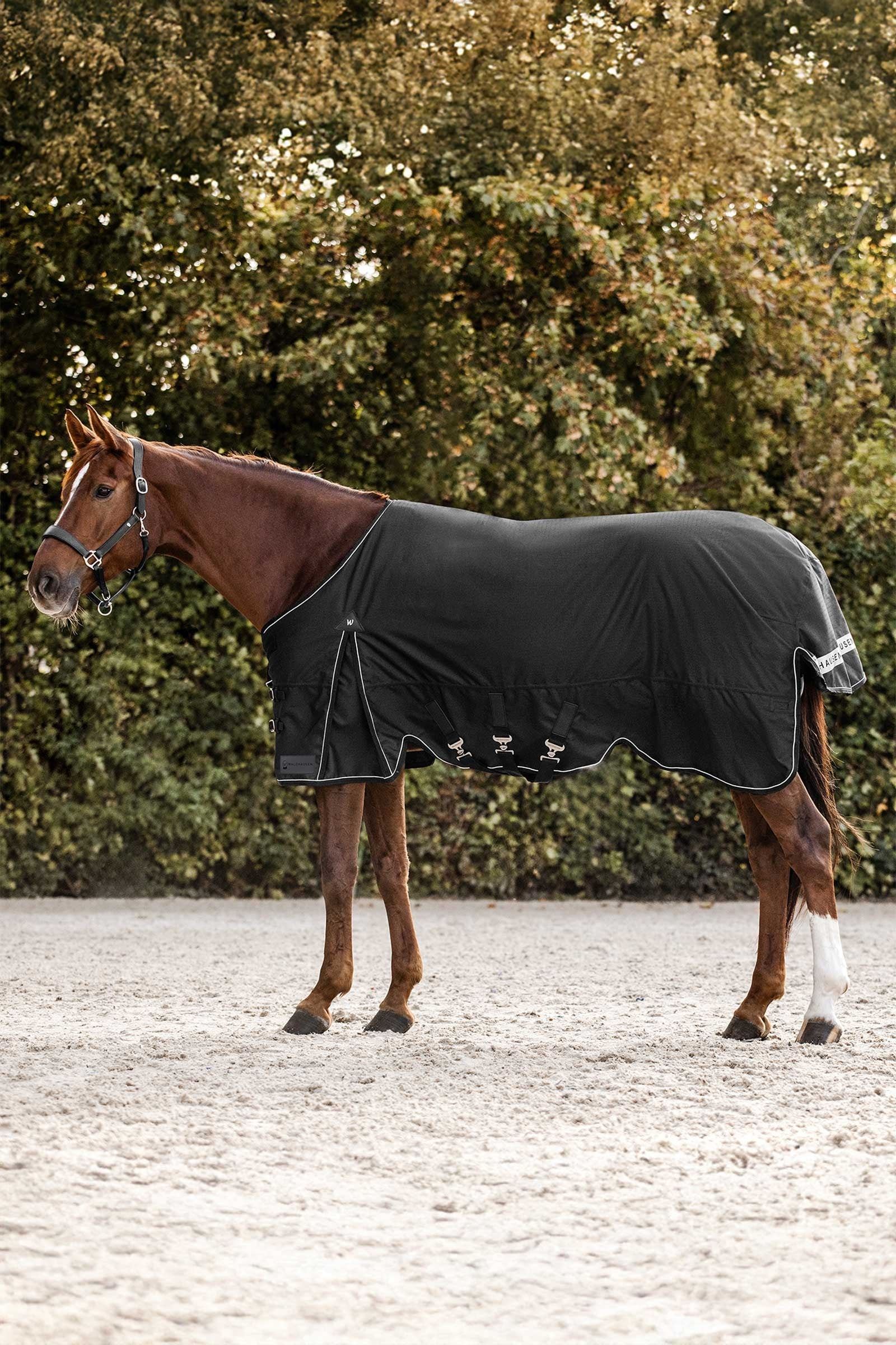 Waldhausen Scandic Manta de Exterior, 200 g Mantas Caballo