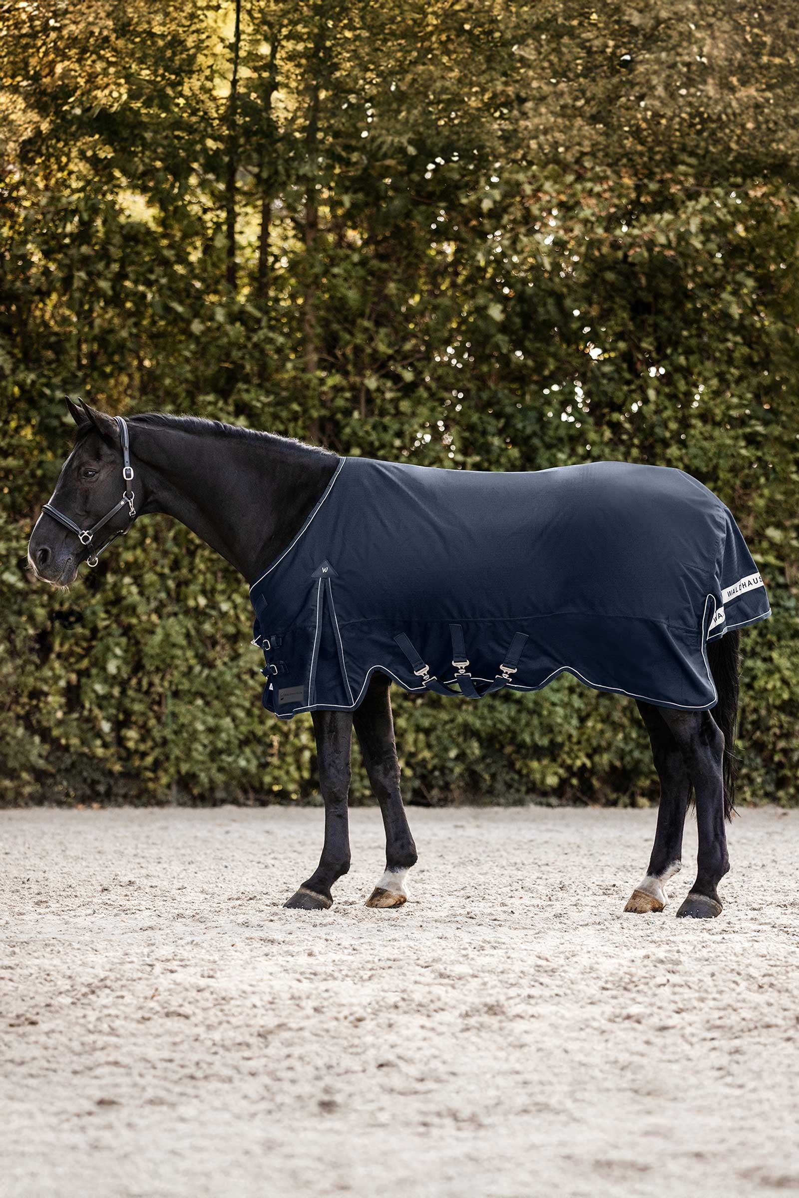 Waldhausen Scandic Manta de Exterior, 200 g Mantas Caballo