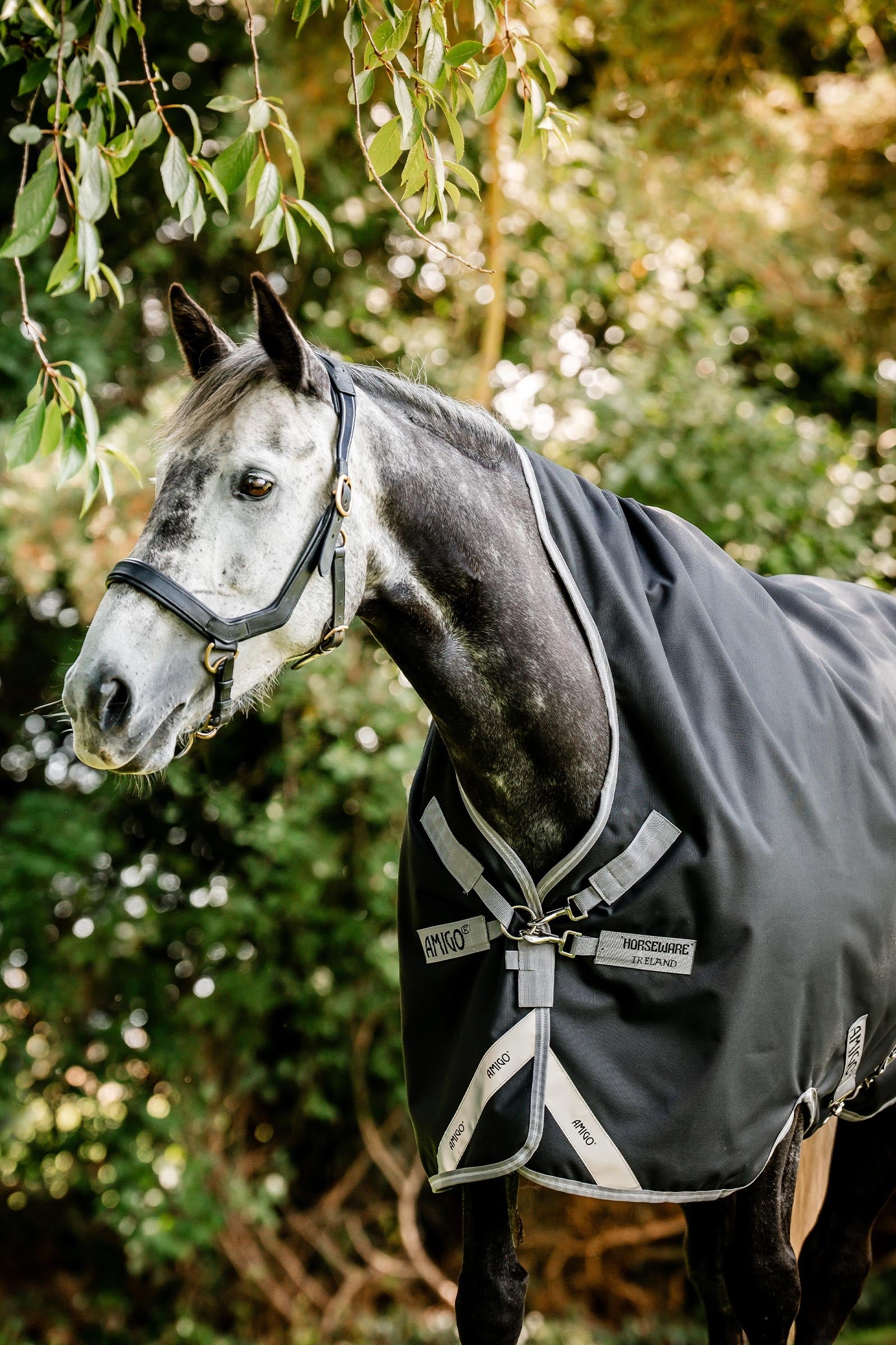 Horseware Amigo 1200D Wug Turnout 50 g Horse Rugs