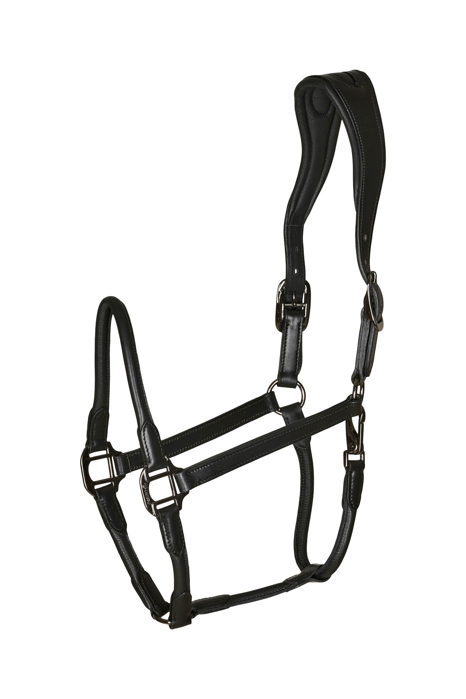 Catago leather halter with round-stitched noseband Cabezadas de cuadra & Ramales