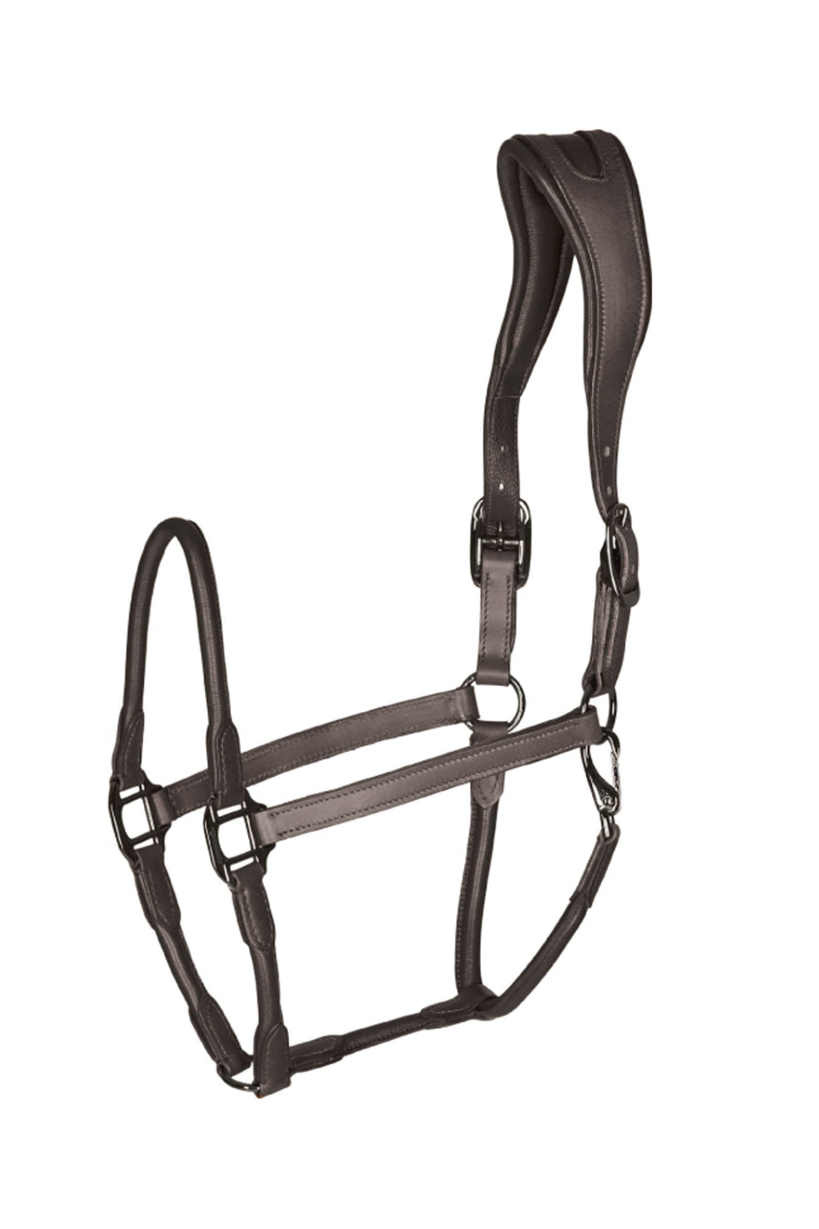 Catago leather halter with round-stitched noseband Cabezadas de cuadra & Ramales