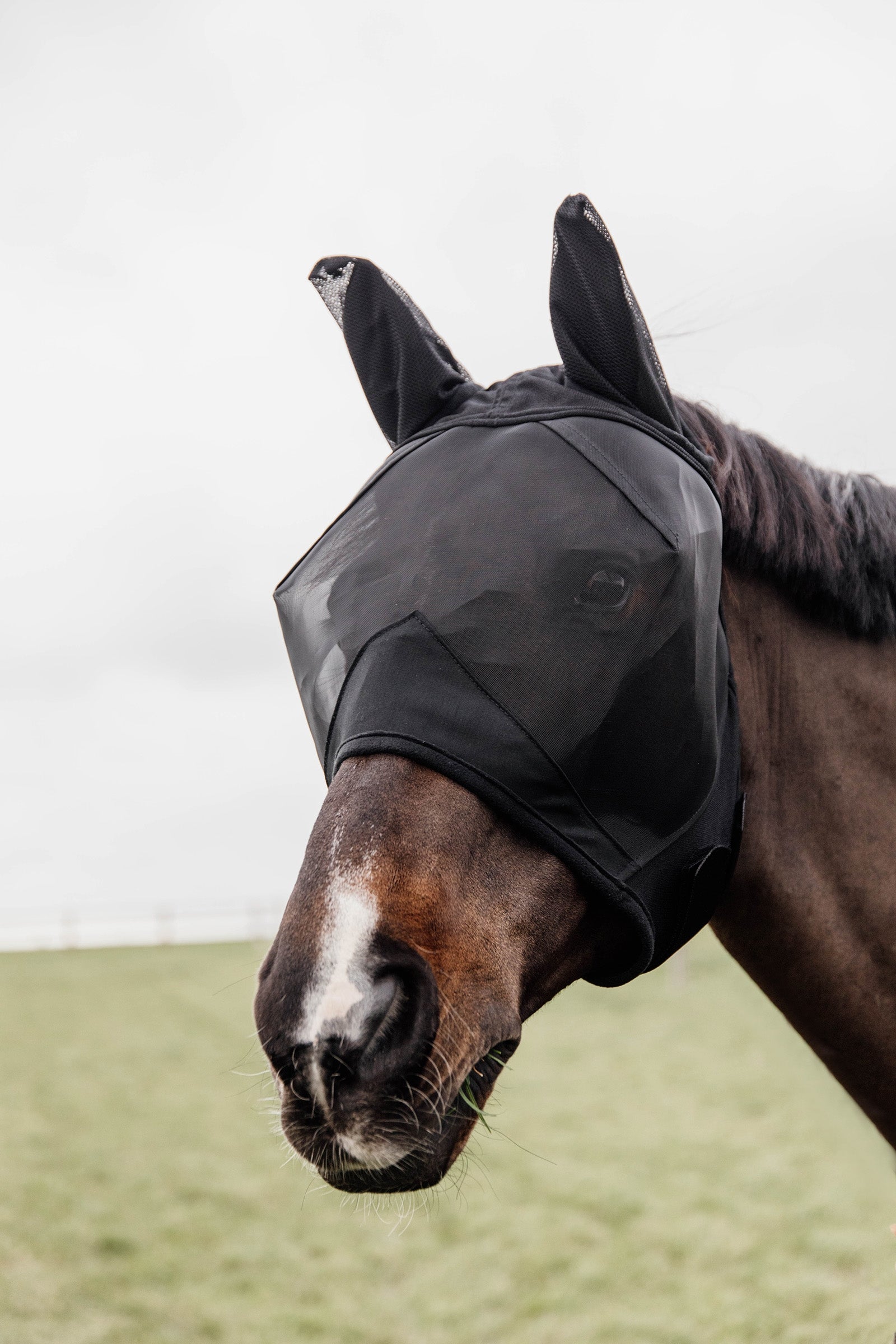 Kentucky Horsewear Máscara Anti-Moscas con Orejas Classic Protección Antimoscas para Caballos