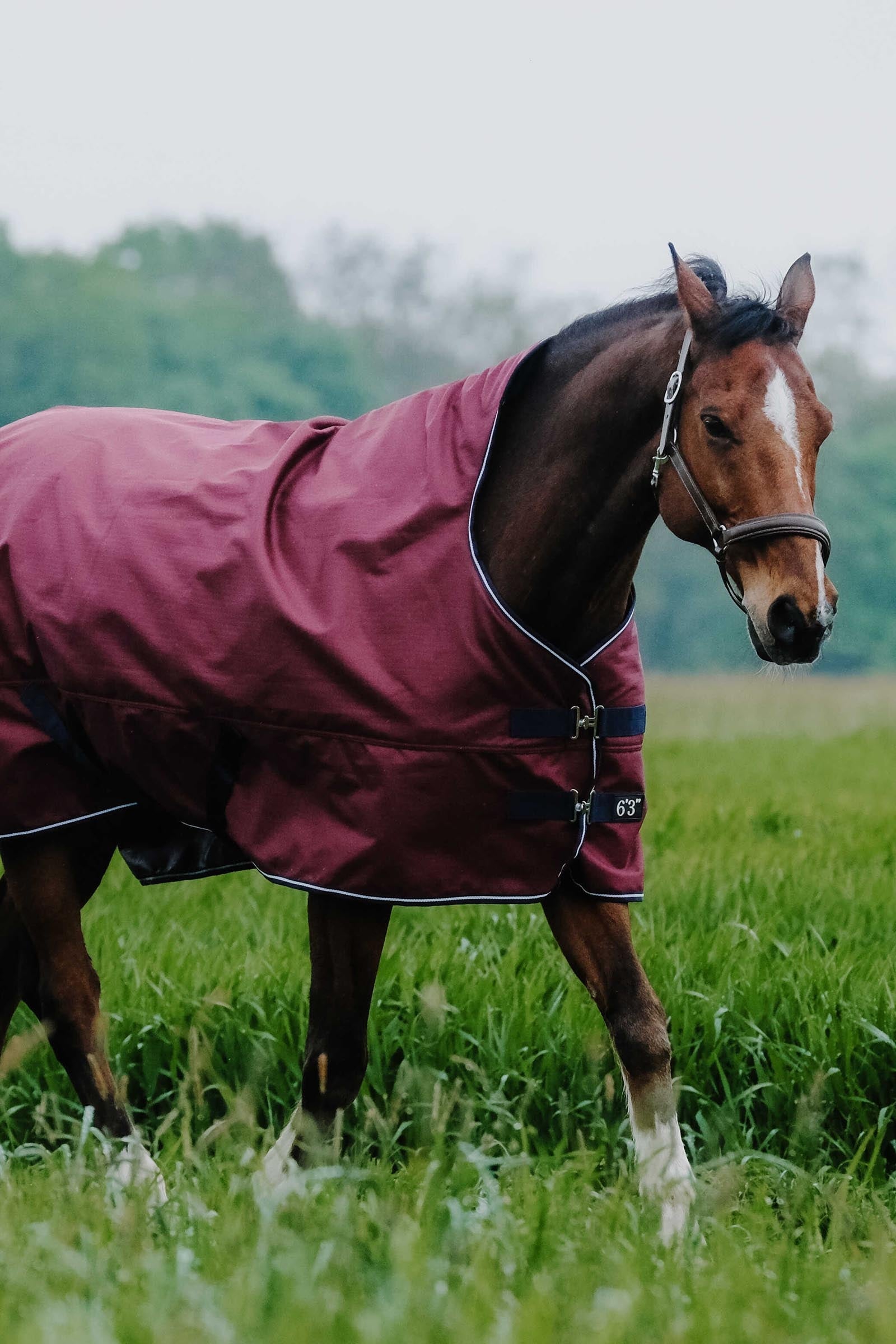 Equi Theme EQUITHÈME TYREX 1200D High Neck Rug, 300 g Horse Rugs