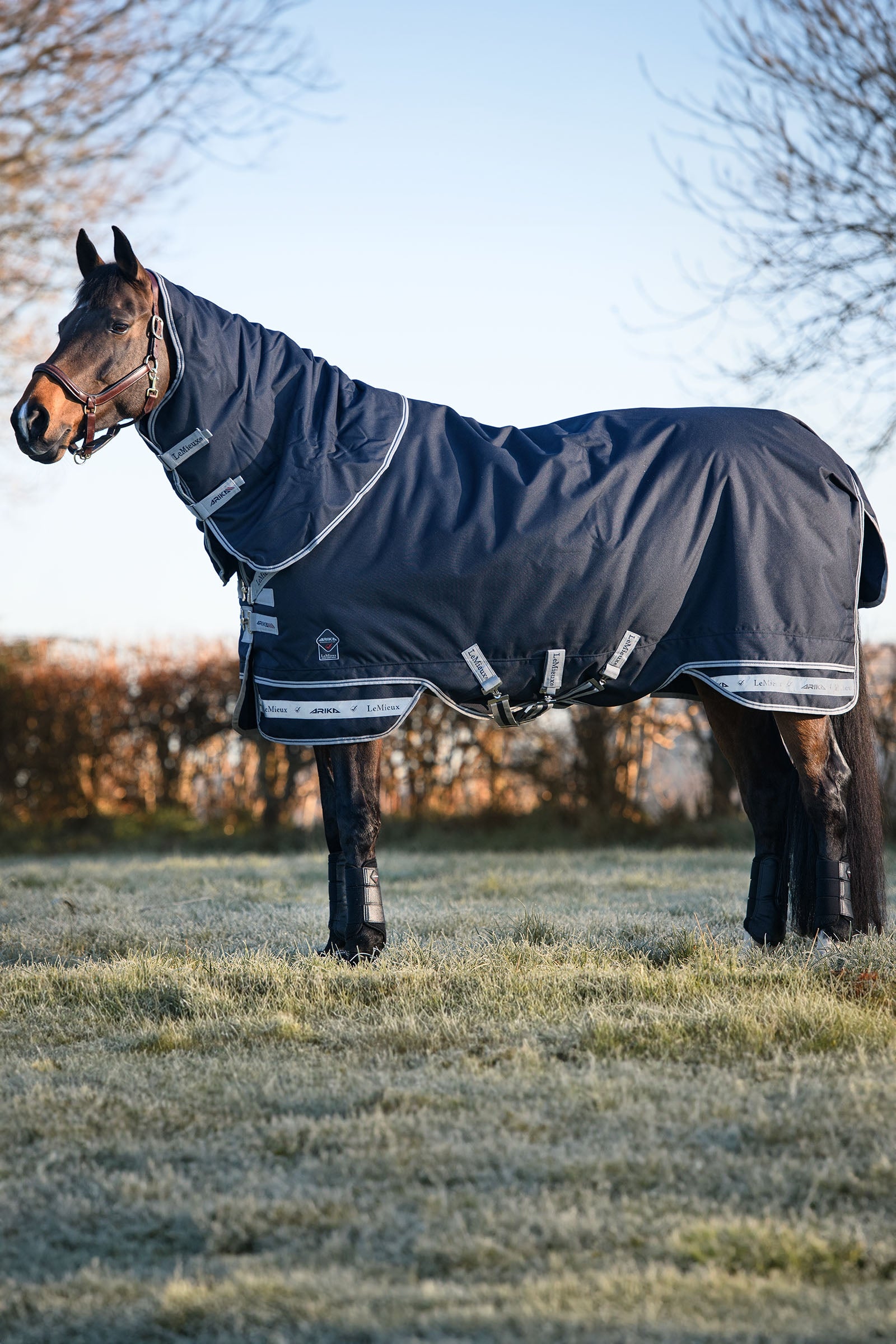 LeMieux Arika Storm-Tek 350g Mantas Caballo