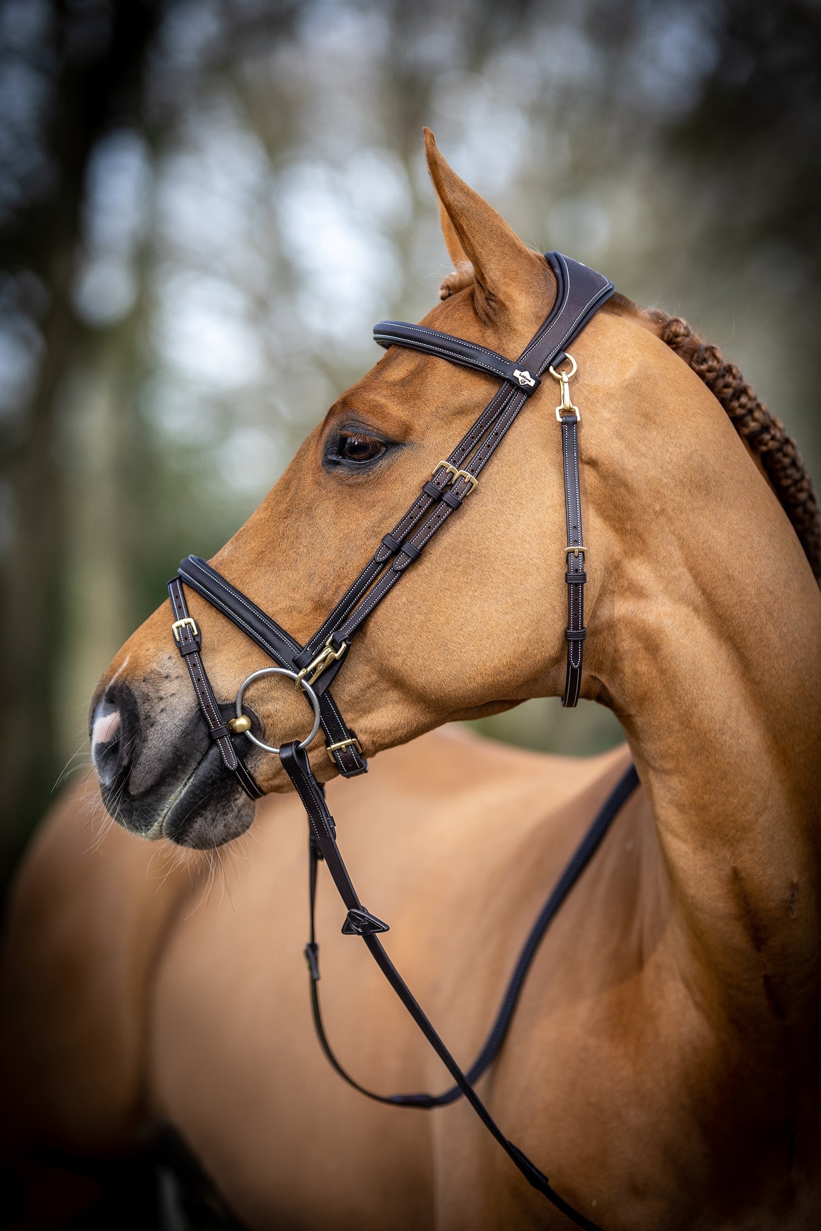 LeMieux Kudos Work Bridle Bridles & Reins