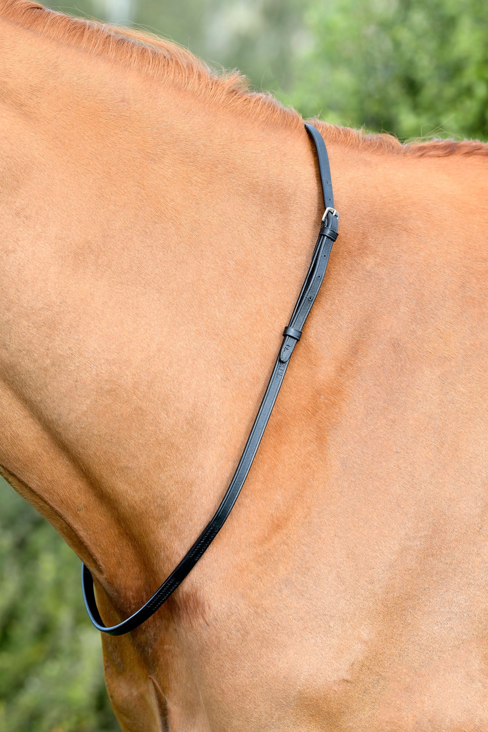Kincade Classic collar de cuello de cuero Cabezadas de montar & Riendas