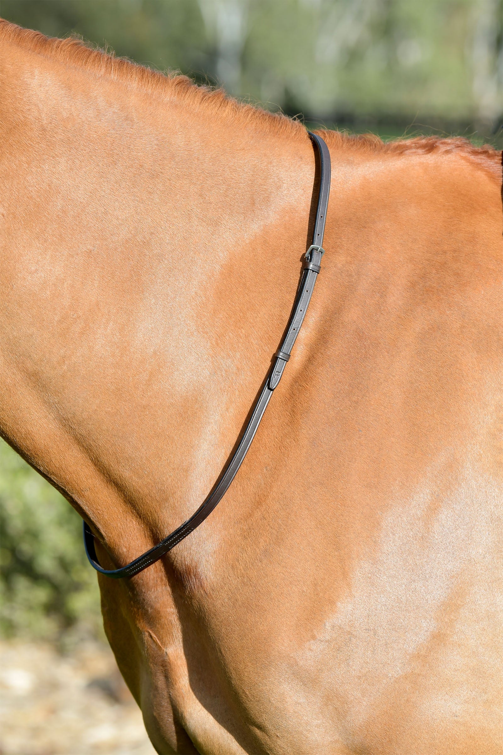 Kincade Classic Leather Neck Strap Bridles & Reins