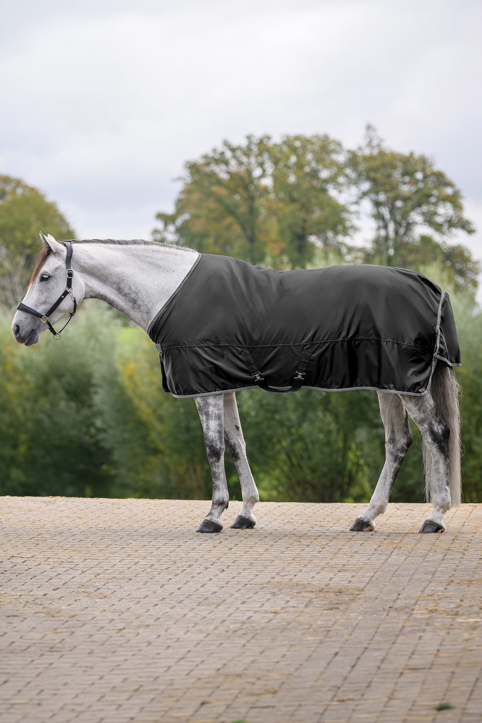 Waldhausen ECONOMIC manta impermeable Mantas Caballo