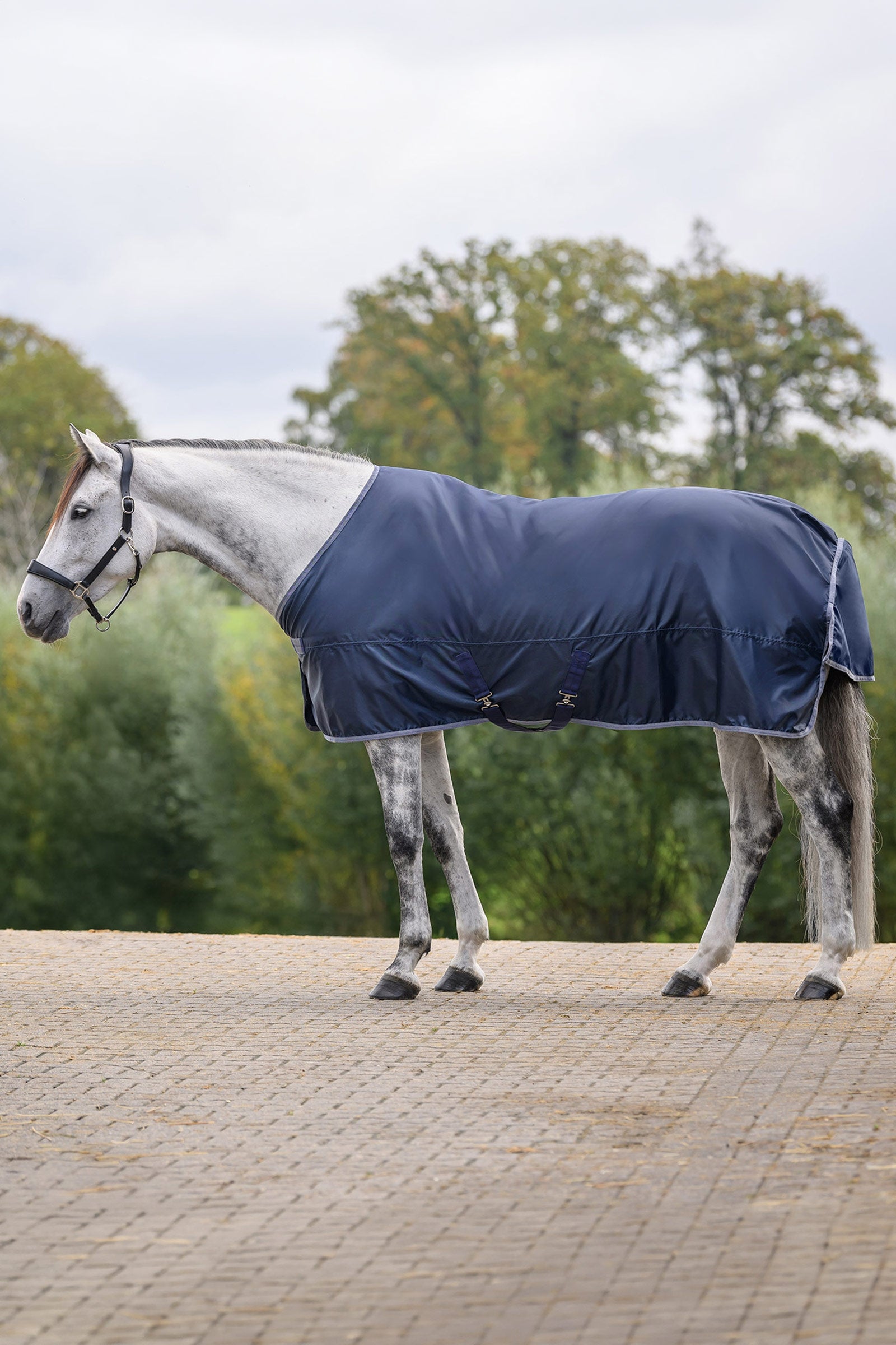 Waldhausen ECONOMIC manta impermeable Mantas Caballo