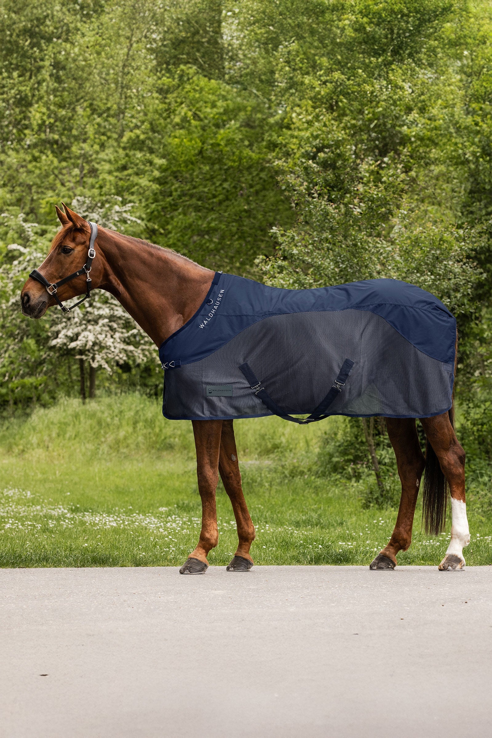 Waldhausen Comfort Rain Fly Rug Horse Rugs