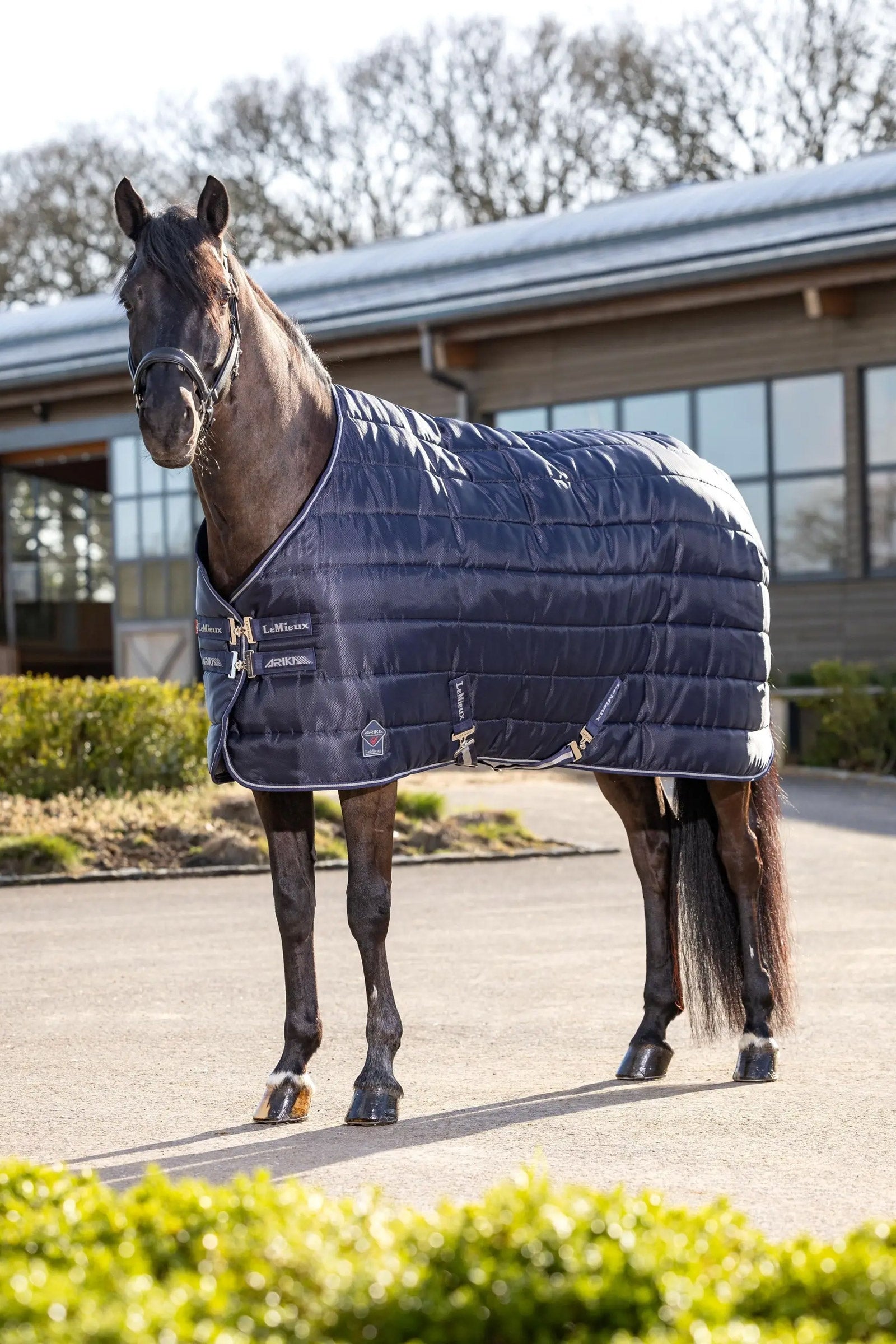 LeMieux Arika Stable-Tek Stable Rug, 200 g Mantas Caballo