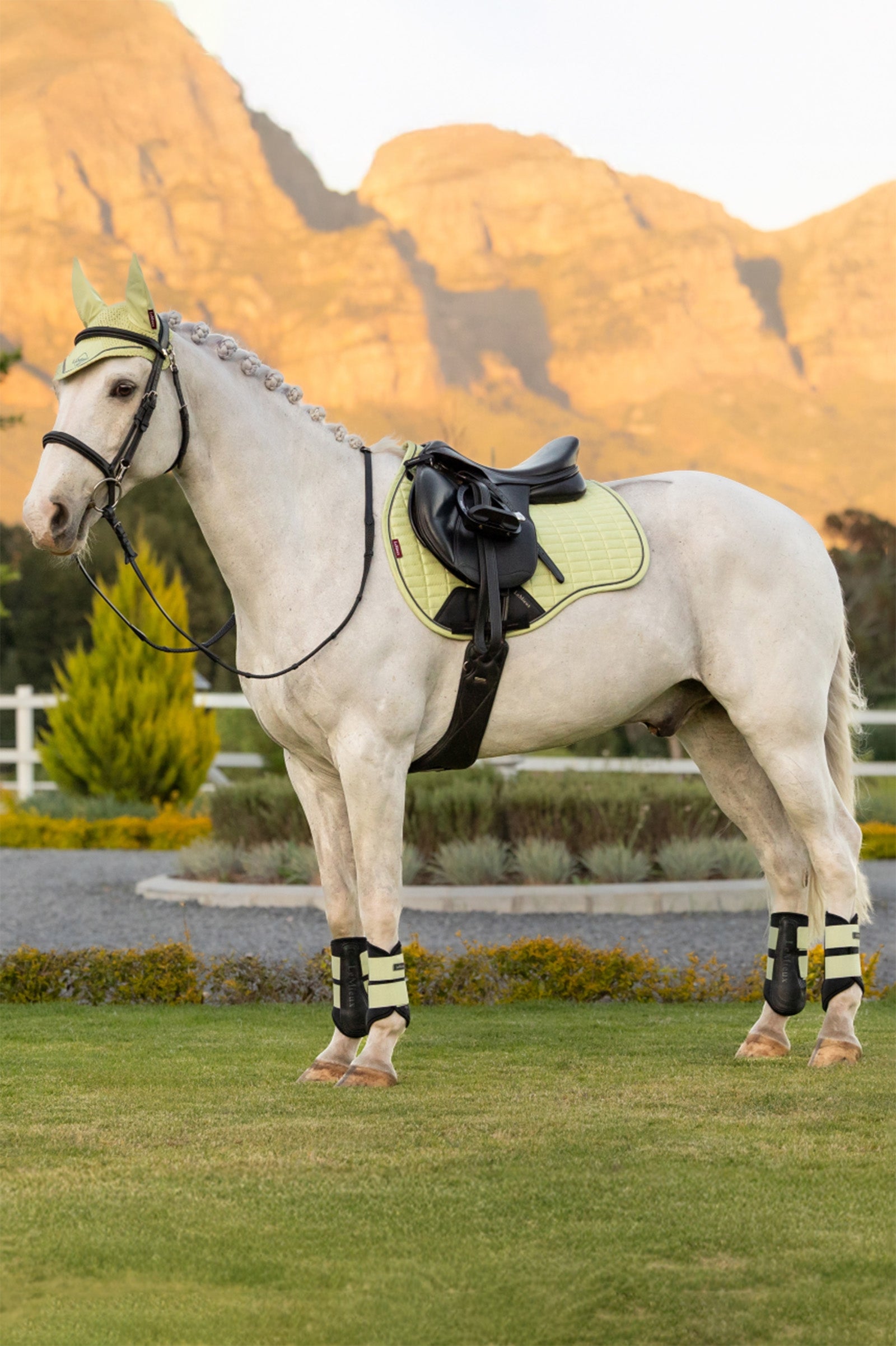 LeMieux Suede GP Square Saddle Pads
