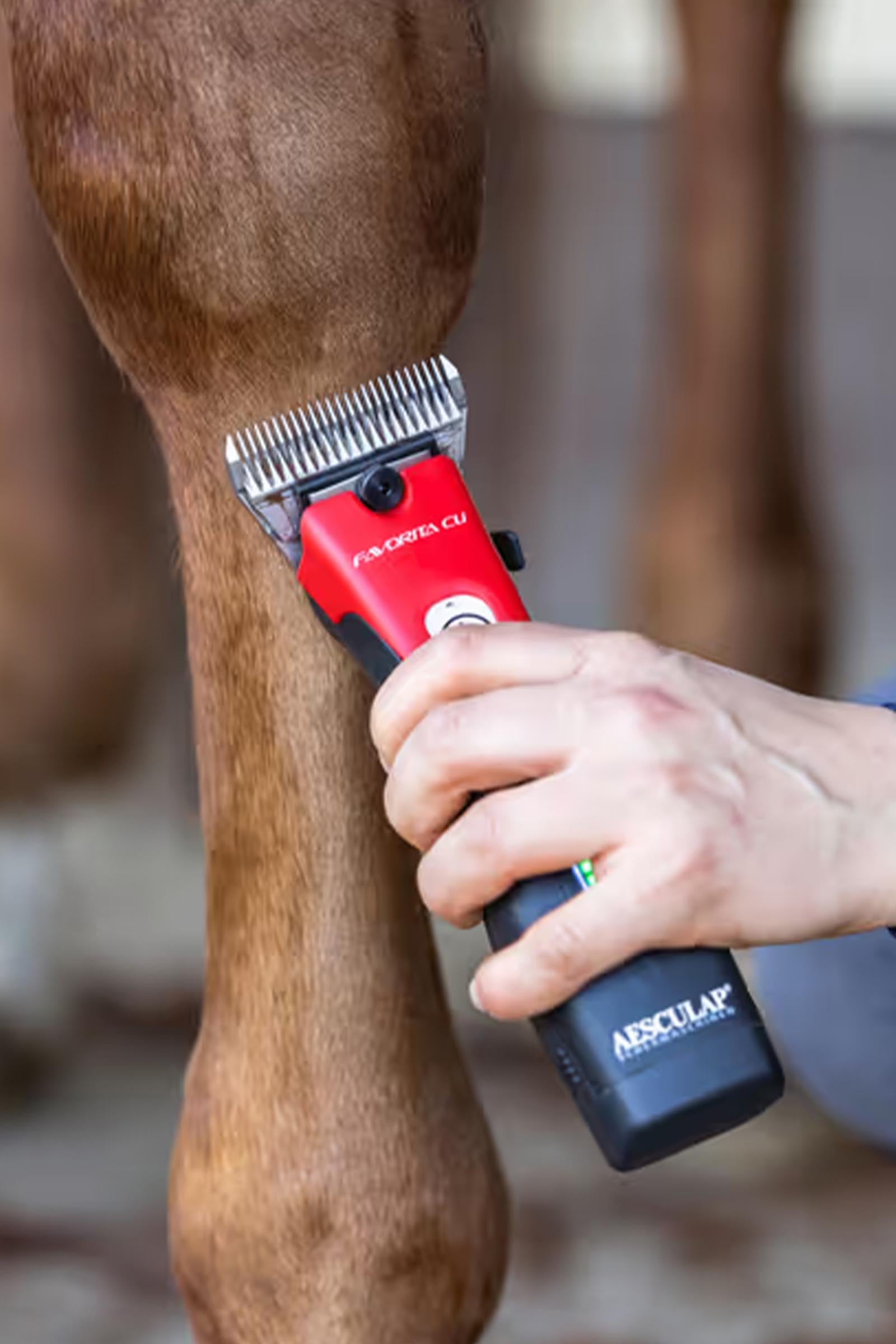 Aesculap Favorita CLi Clipper, cordless (incl. 1 battery) Horse Clipping & Trimming Tools
