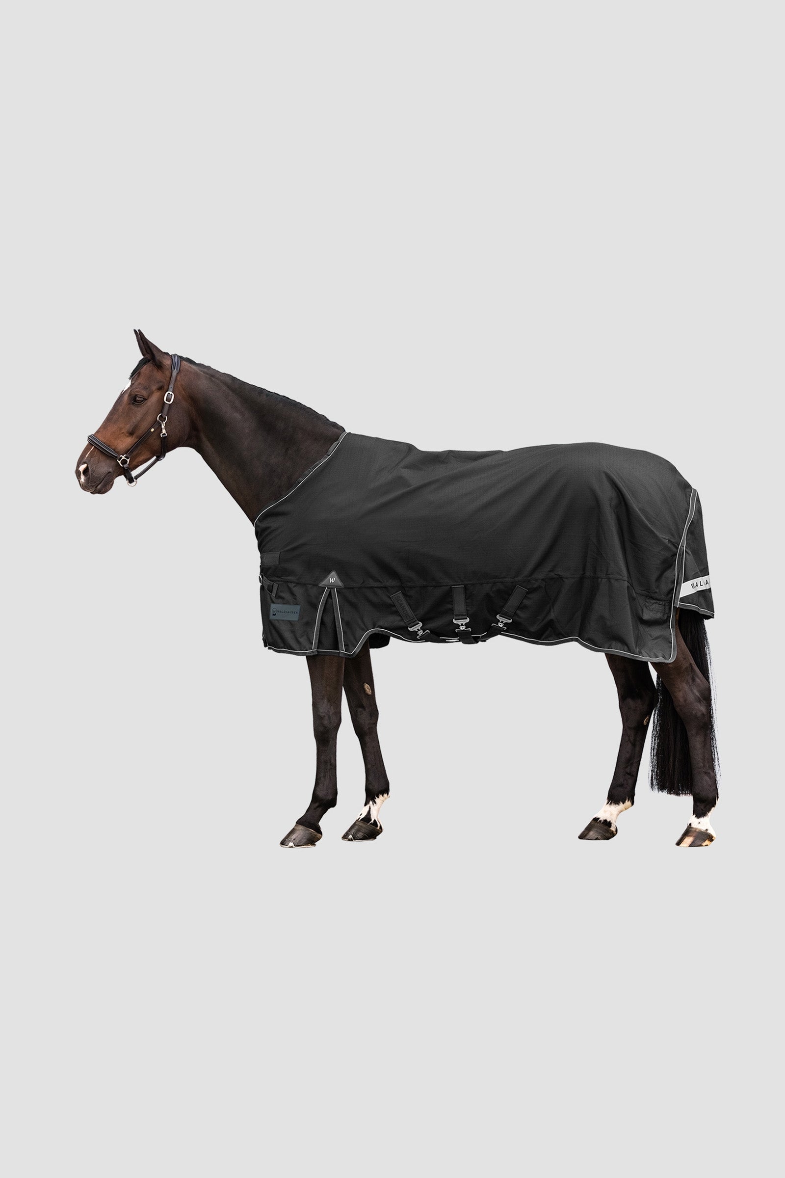 Waldhausen Outdoor Rug Scandic Light Mantas Caballo