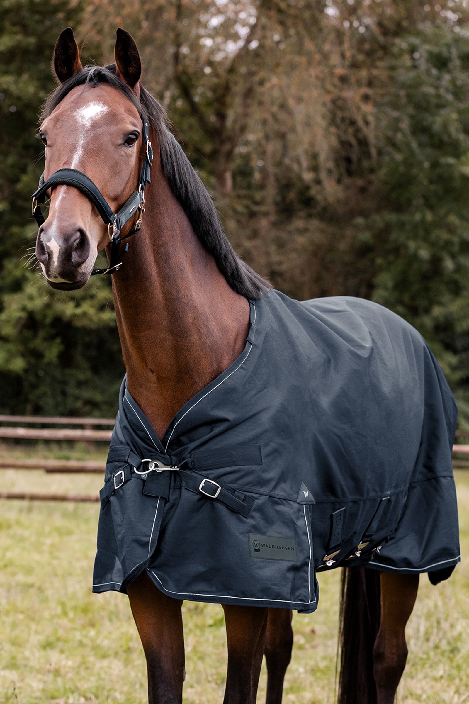 Waldhausen Outdoor Rug Scandic Light Horse Rugs