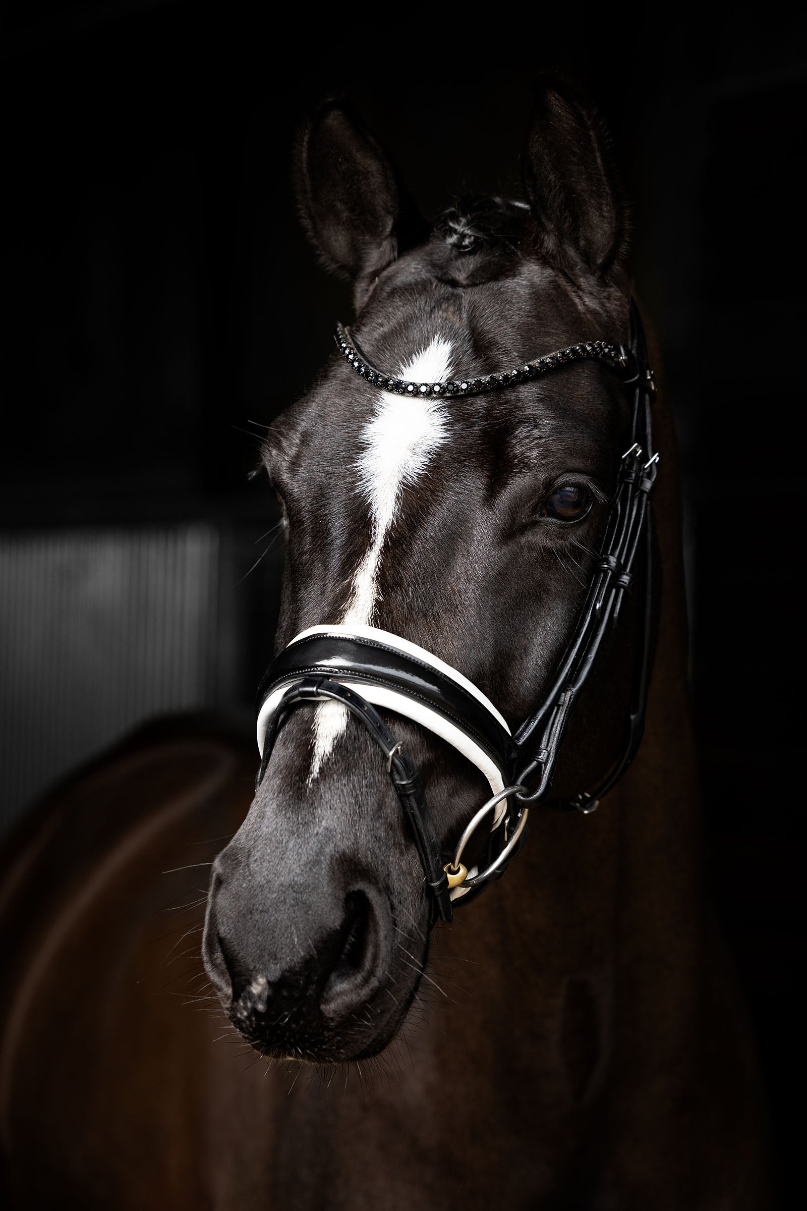 LeMieux Kudos Patent Dressage Bridle Bridles & Reins