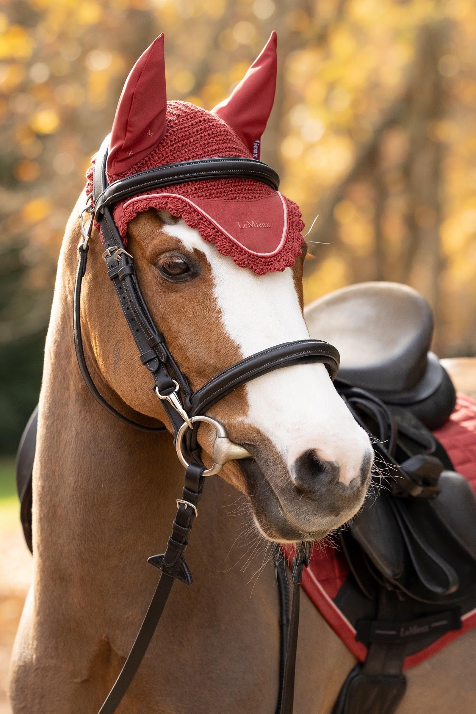 LeMieux Classic Fly Hood Saddle Pads