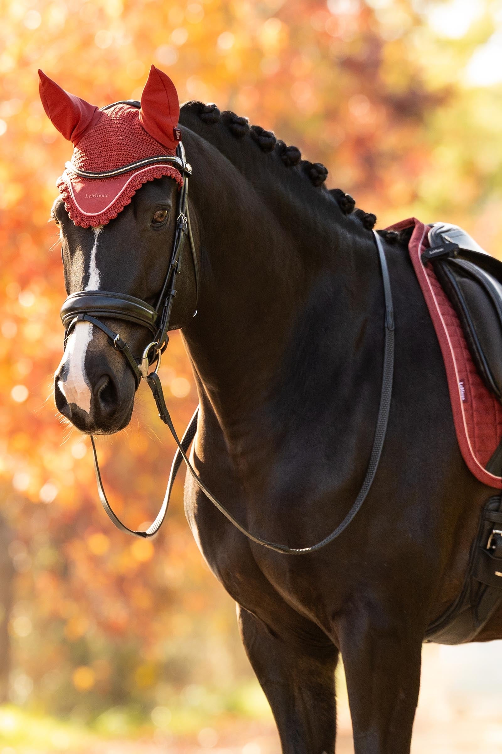 LeMieux Classic Fly Hood Saddle Pads