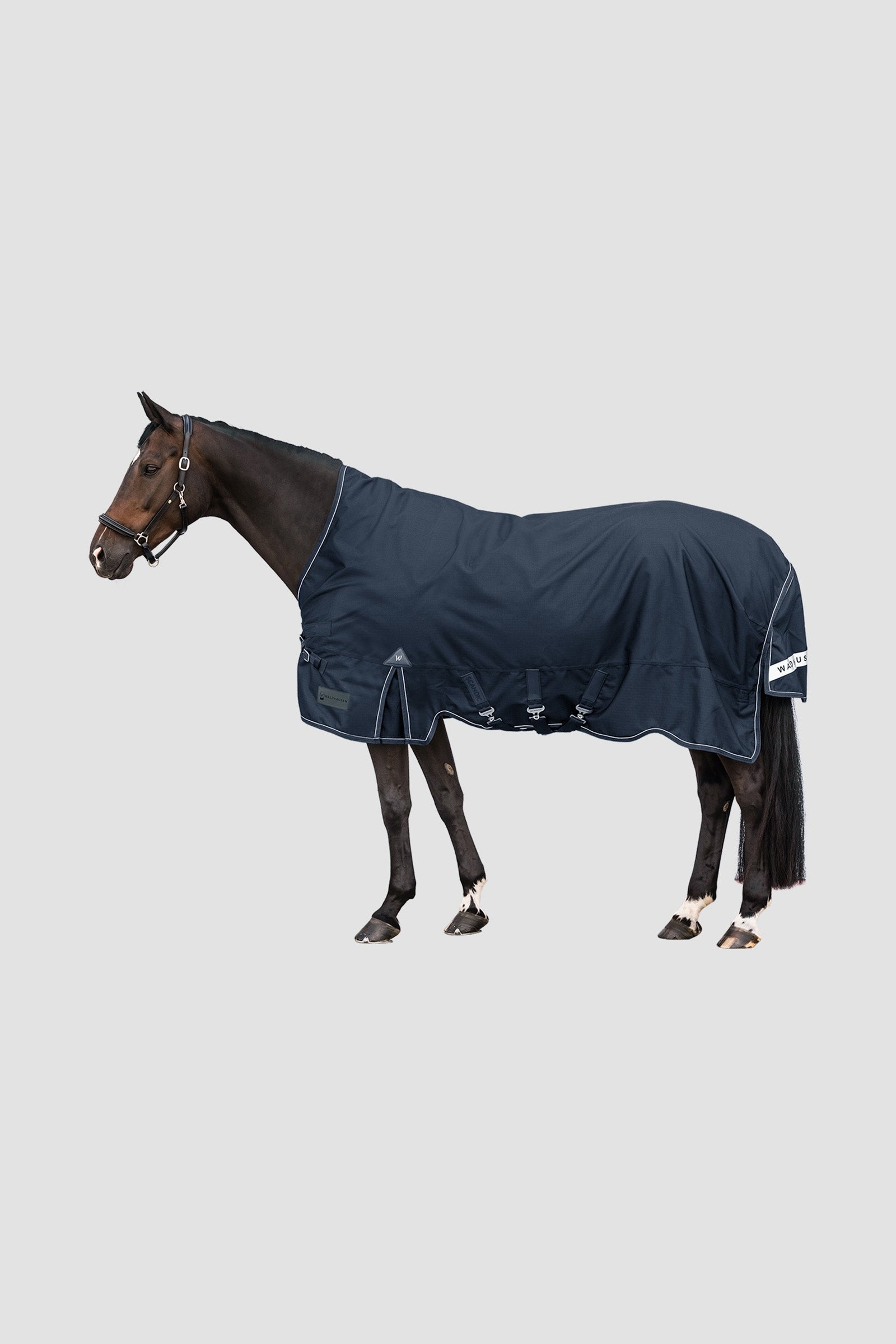 Waldhausen Outdoor Rug Scandic High Neck Light Horse Rugs