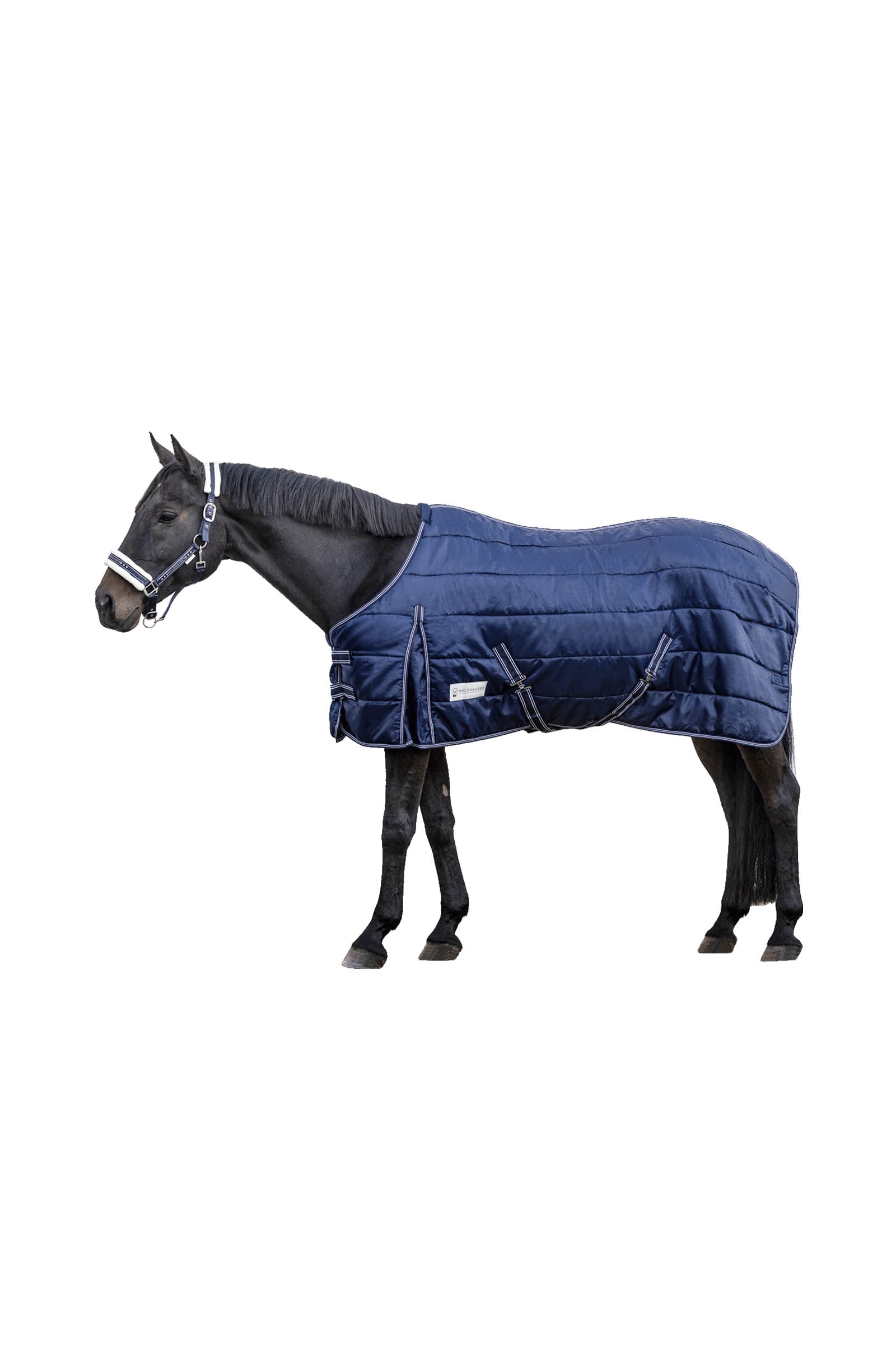 Waldhausen Stable rug Economic 200 g Mantas Caballo