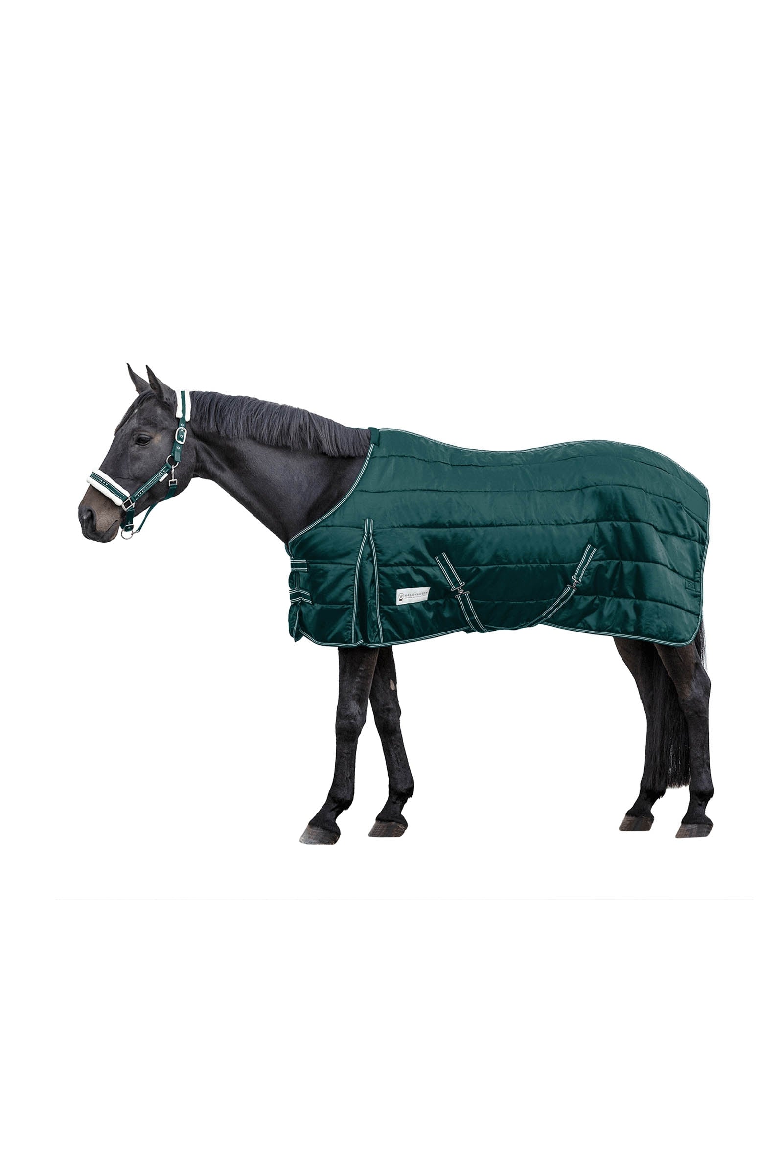 Waldhausen Stable rug Economic 200 g Mantas Caballo