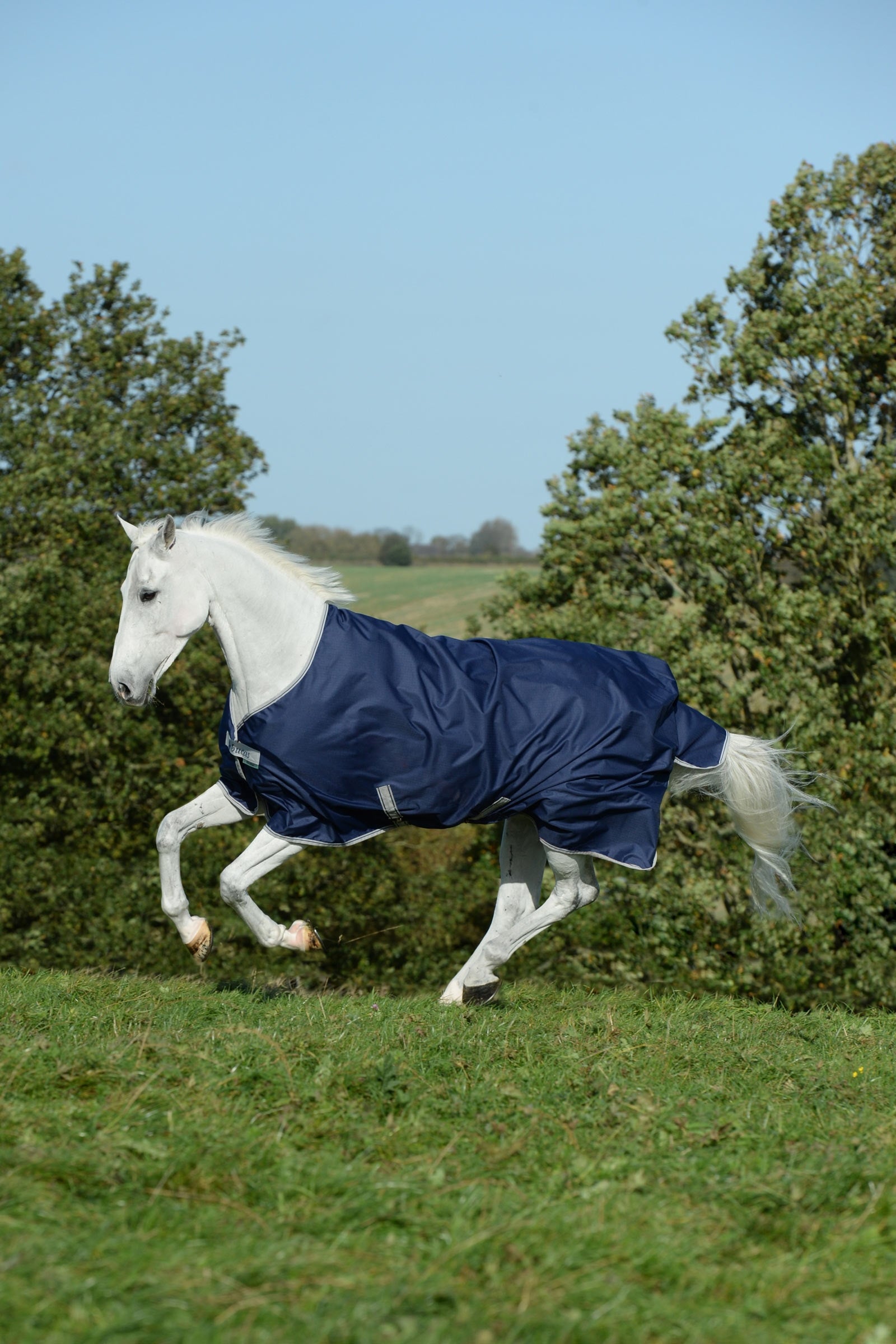 Bucas Freedom Light Turnout Rug, 0g Horse Rugs