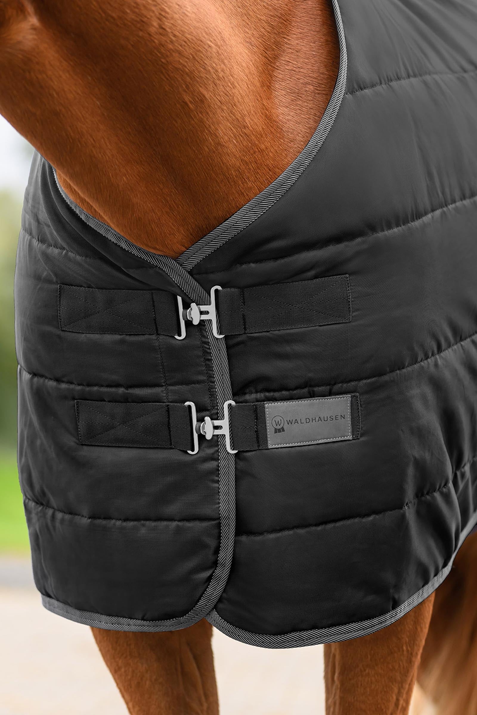 Waldhausen ECONOMIC Stable Rug, 100g Horse Rugs