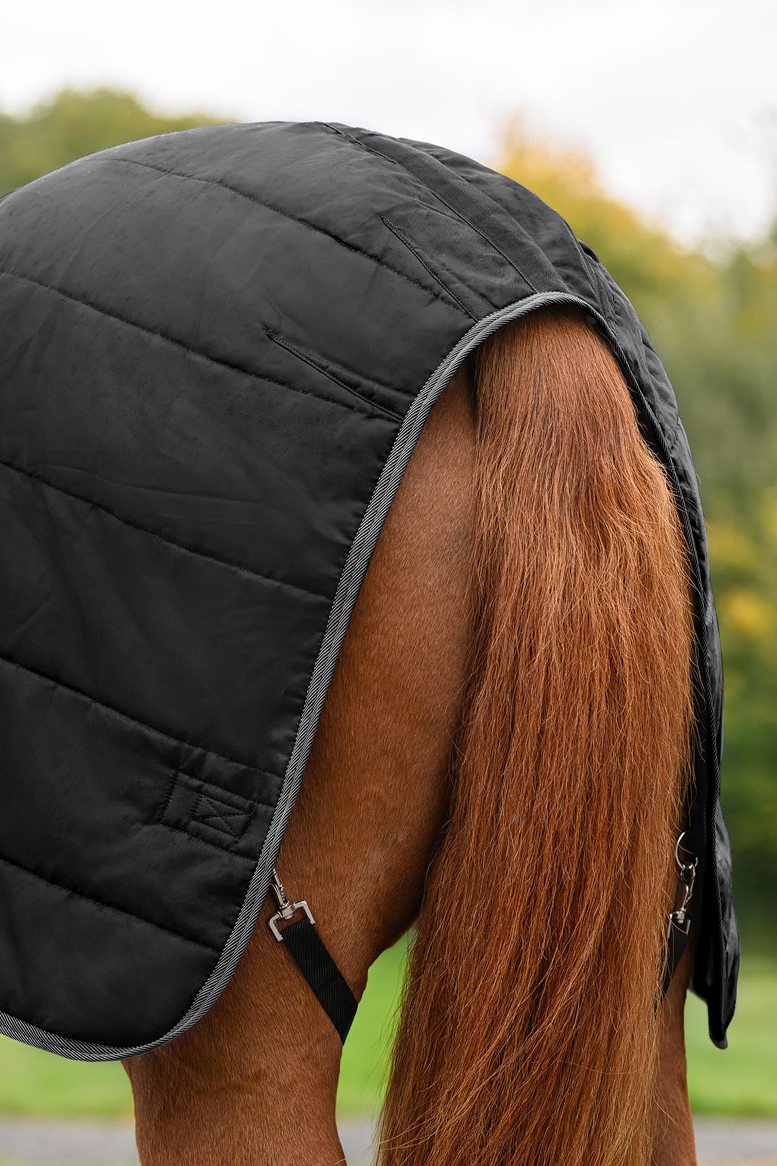 Waldhausen ECONOMIC Stable Rug, 100g Horse Rugs