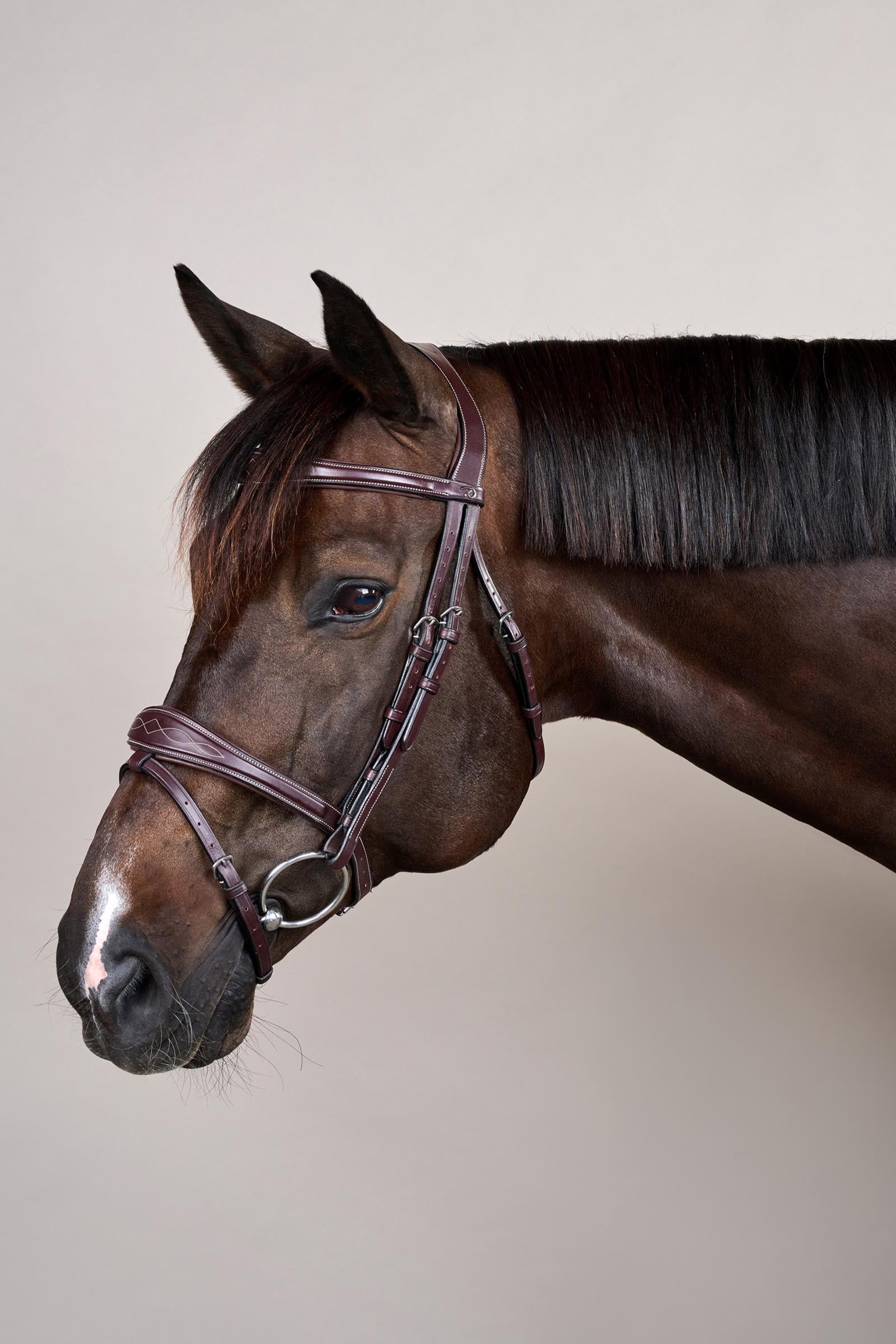 Dy'on US-Collection Anatomic Flash Noseband Bridle Bridles & Reins