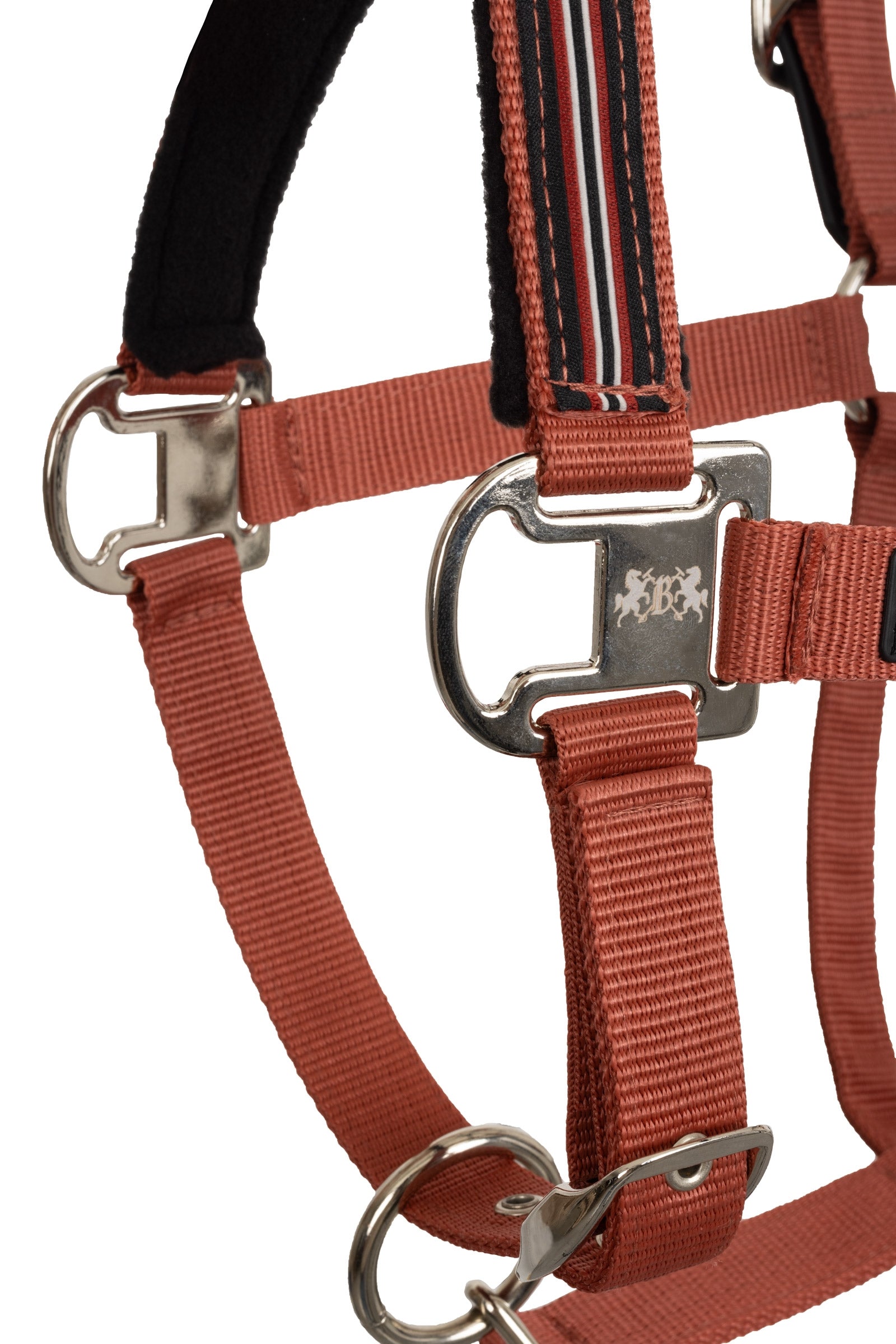 B Vertigo Empowerment Field-Safe Halter Halters & Leads