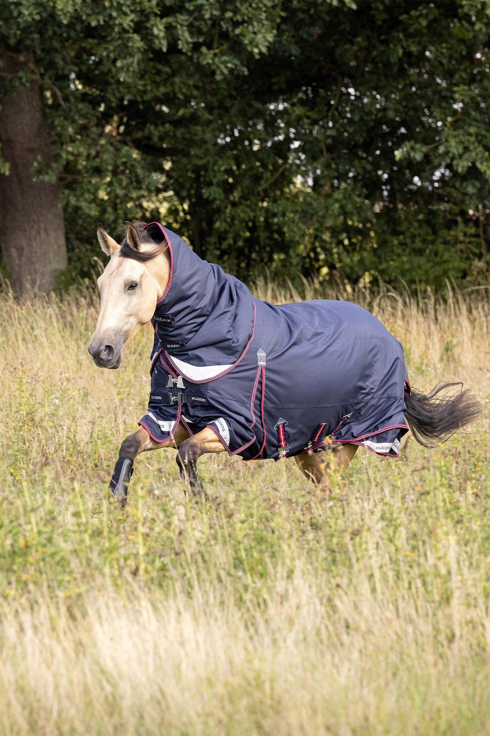 LeMieux Kudos Lightweight Turnout Rug, 50 g Mantas Caballo