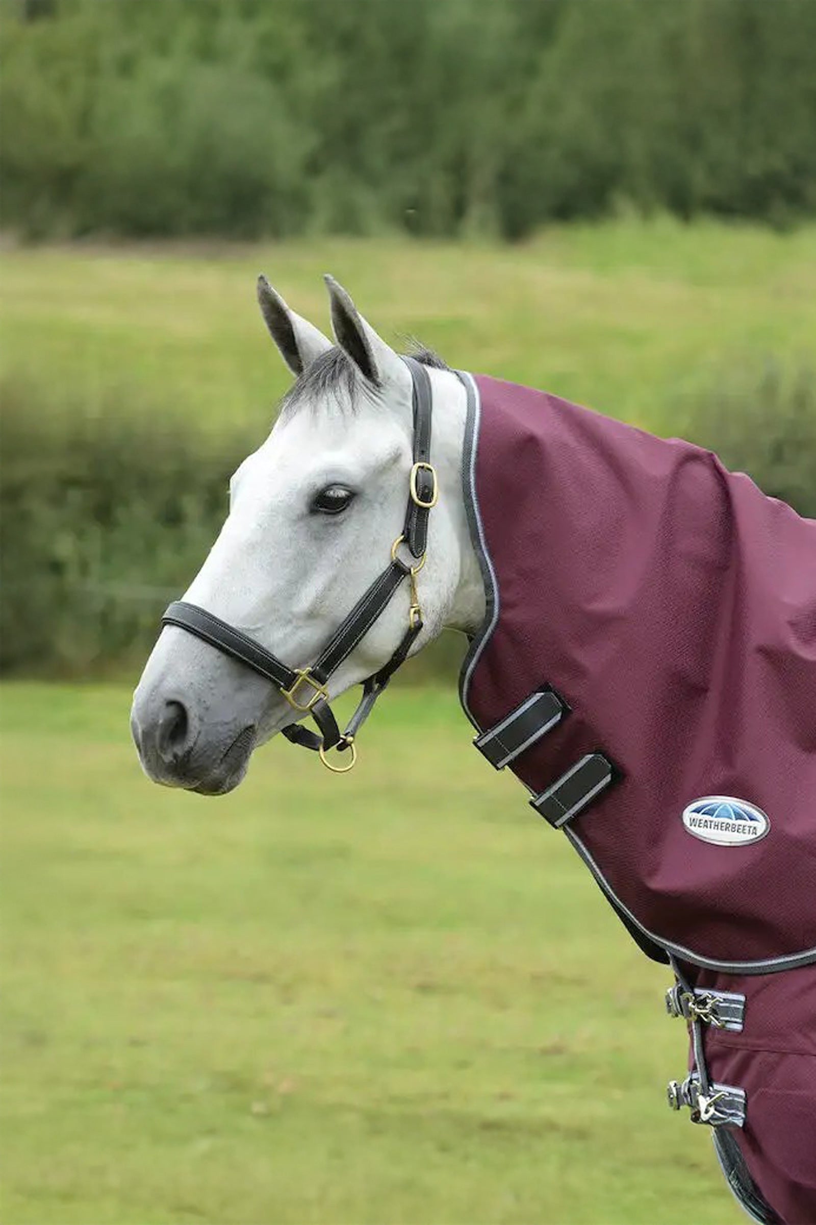 Weatherbeeta Comfitec Plus Dynamic II Medium/Lite Cubrecuello, 100g Mantas Caballo