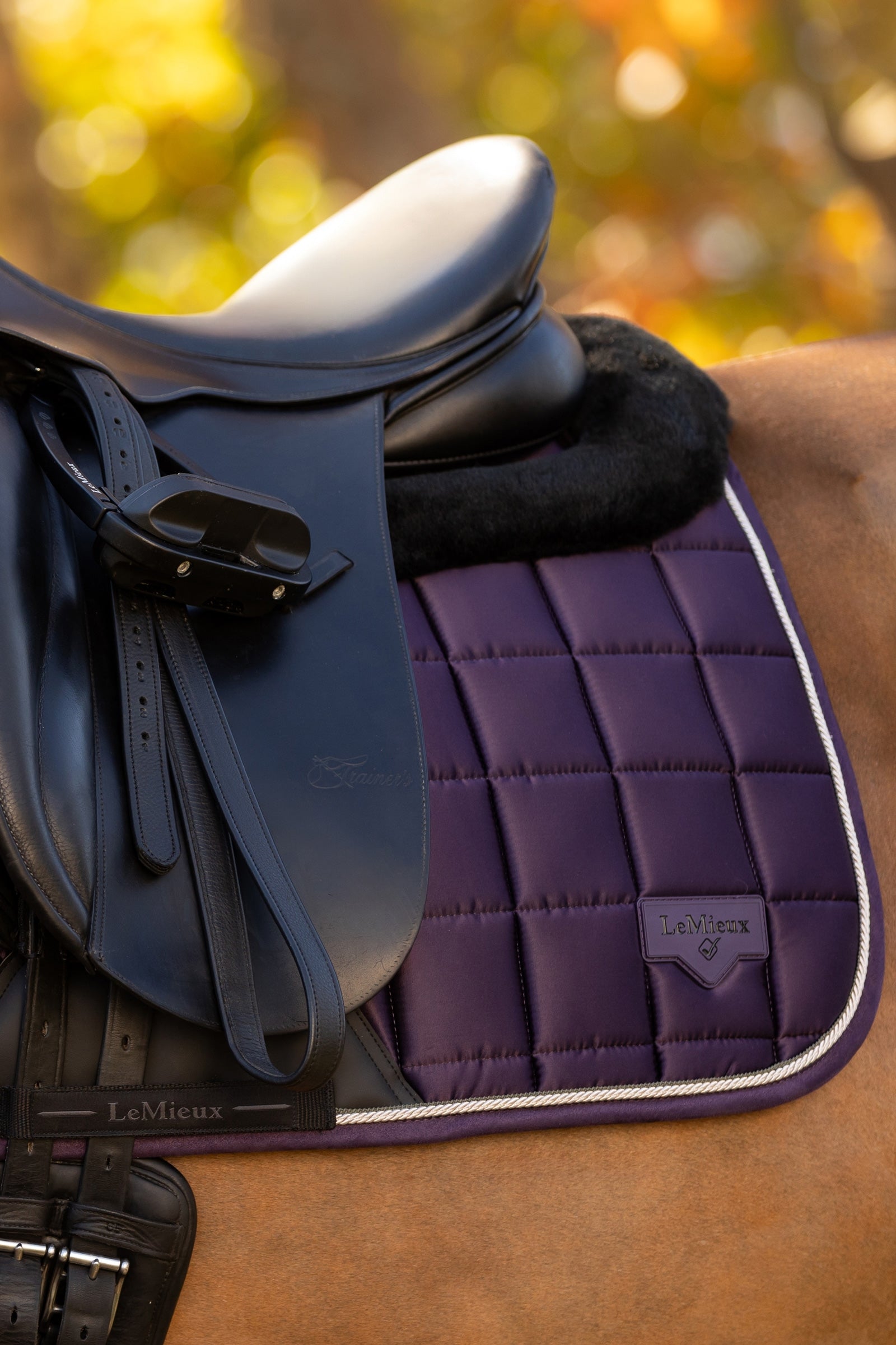LeMieux Merino+ Loire Classic Dressage Saddle Pad Saddle Pads