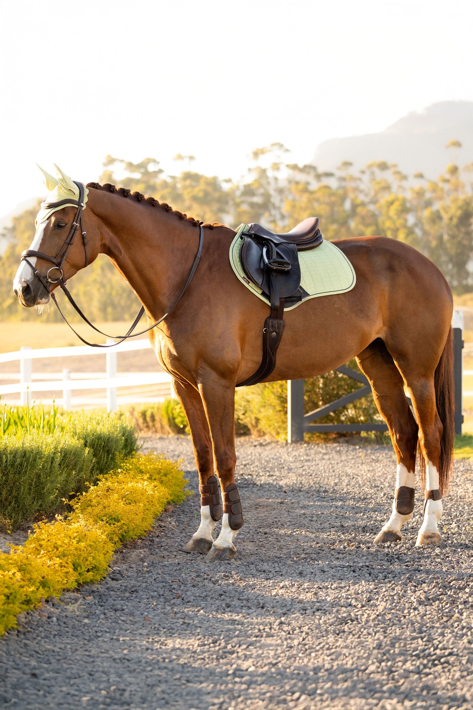 LeMieux Suede Close Contact Saddle Pad Saddle Pads