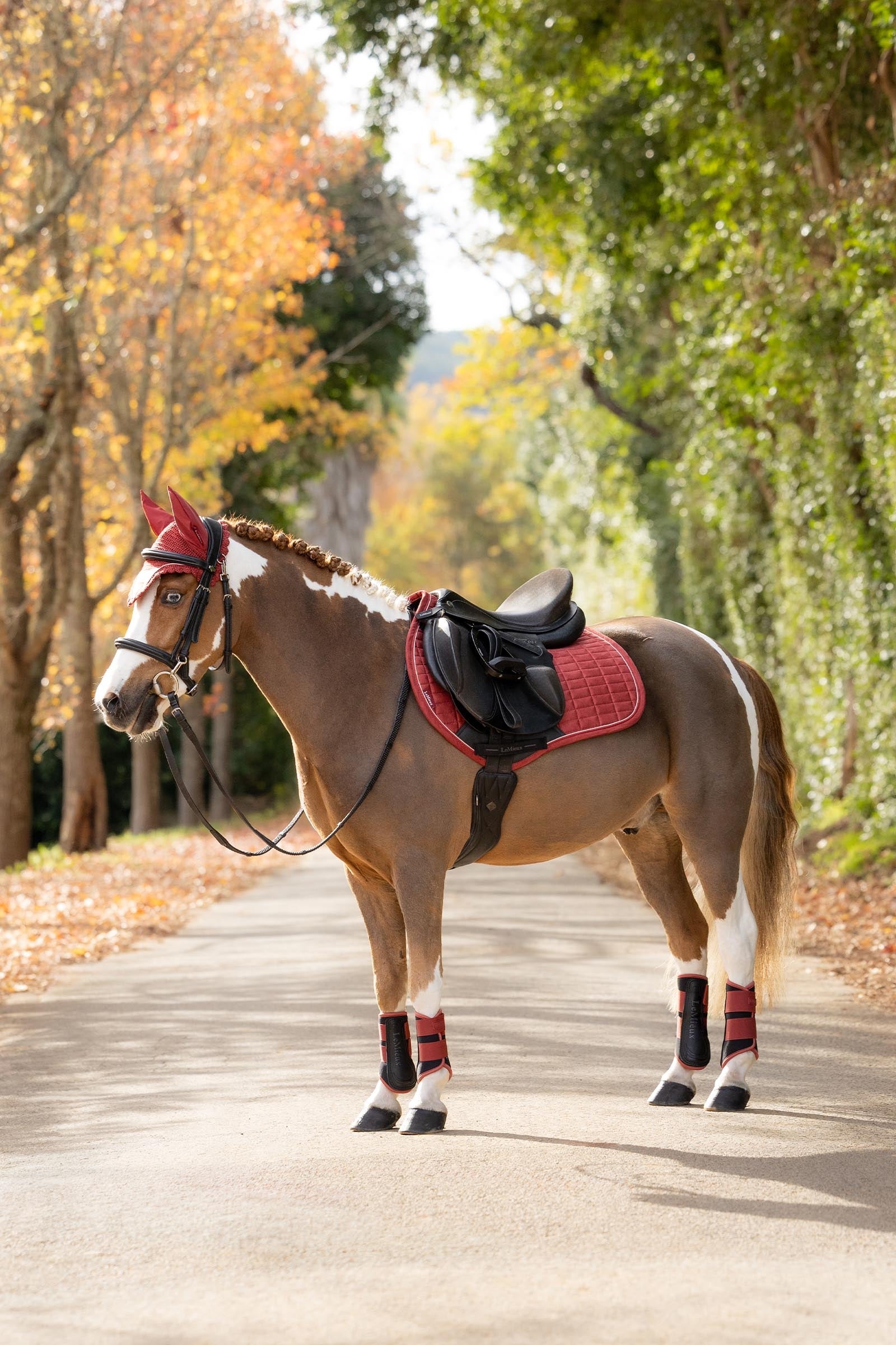 LeMieux Lemieux Suede Close Contact Square Saddle Pad Saddle Pads