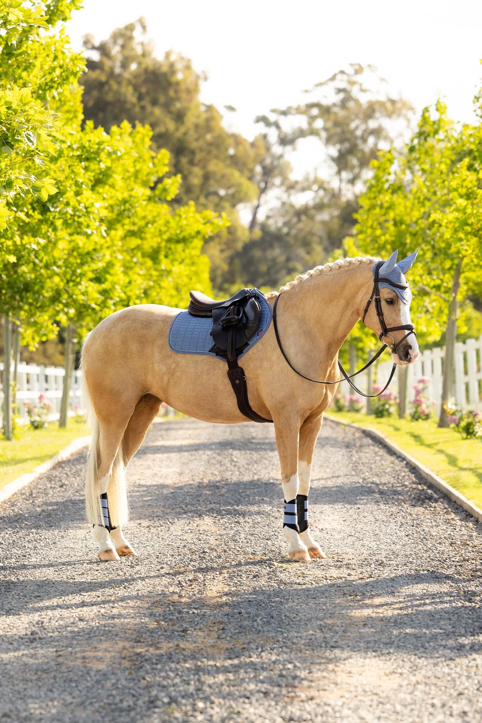 LeMieux Suede Close Contact Saddle Pad Saddle Pads