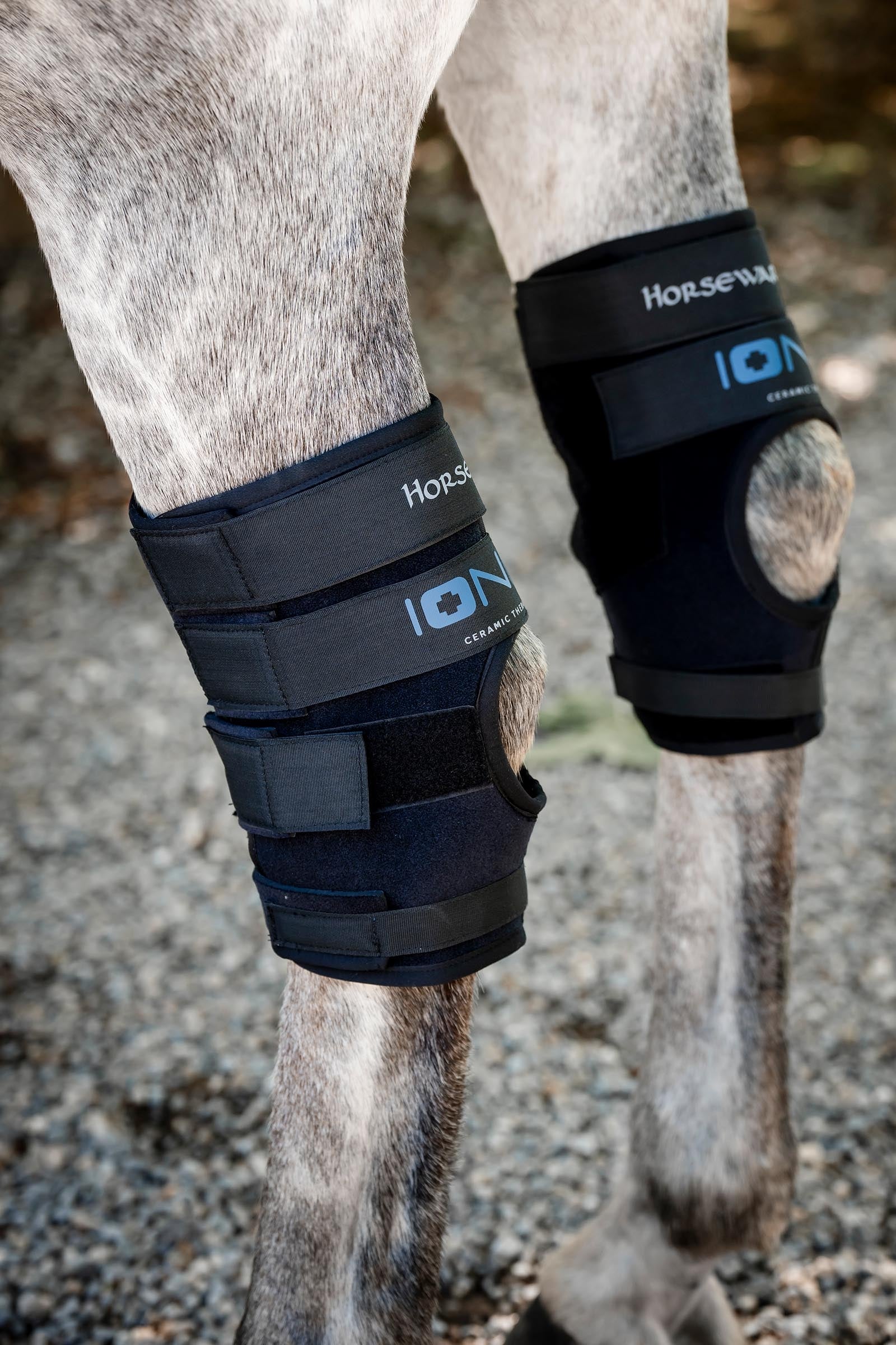 Horseware Ionic protectores de corvejón – set de 2 Leg & Hoof Protection