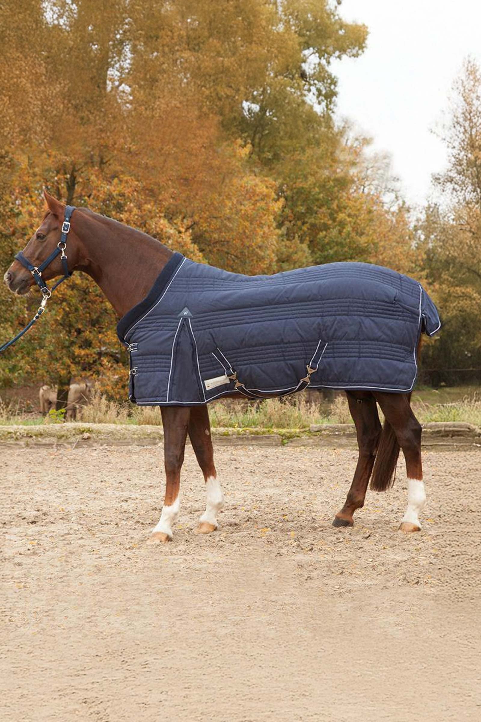 Waldhausen Stable Rug Comfort Line 100g Mantas Caballo