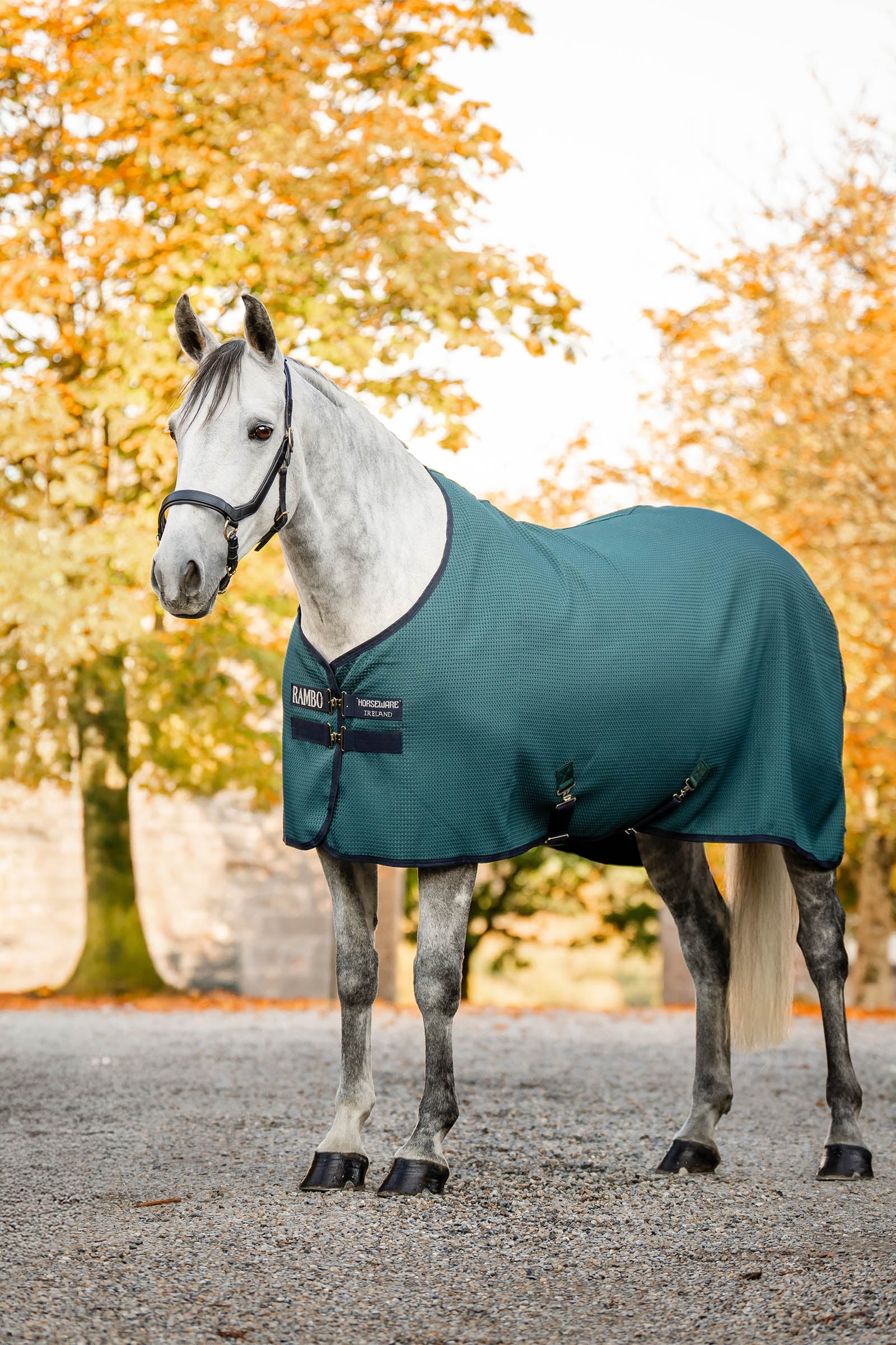 Horseware Rambo Techni Waffle manta de secado Mantas Caballo